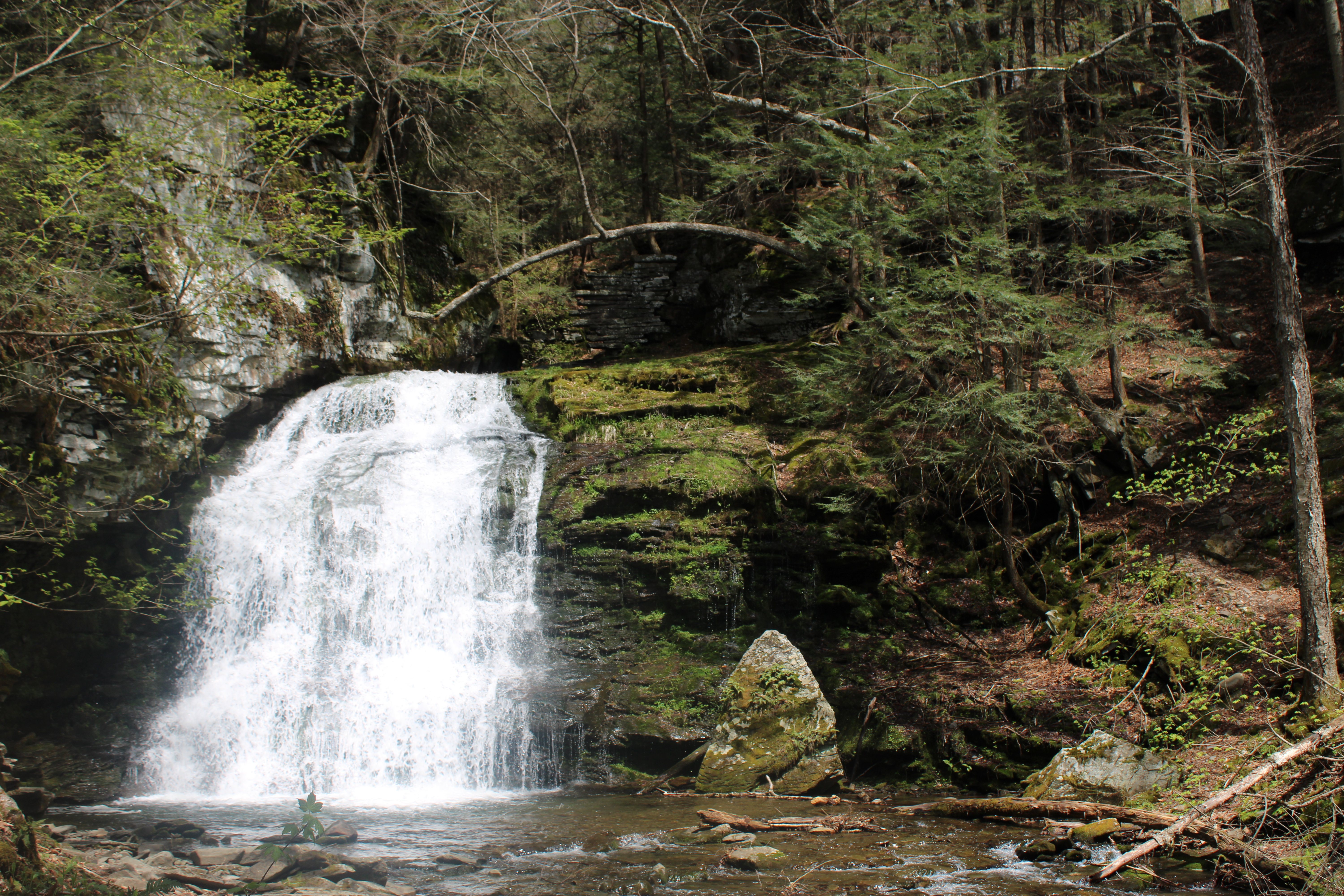 Catskills Getaway Guide to Livingston Manor & Roscoe New York - Bobo and  ChiChi