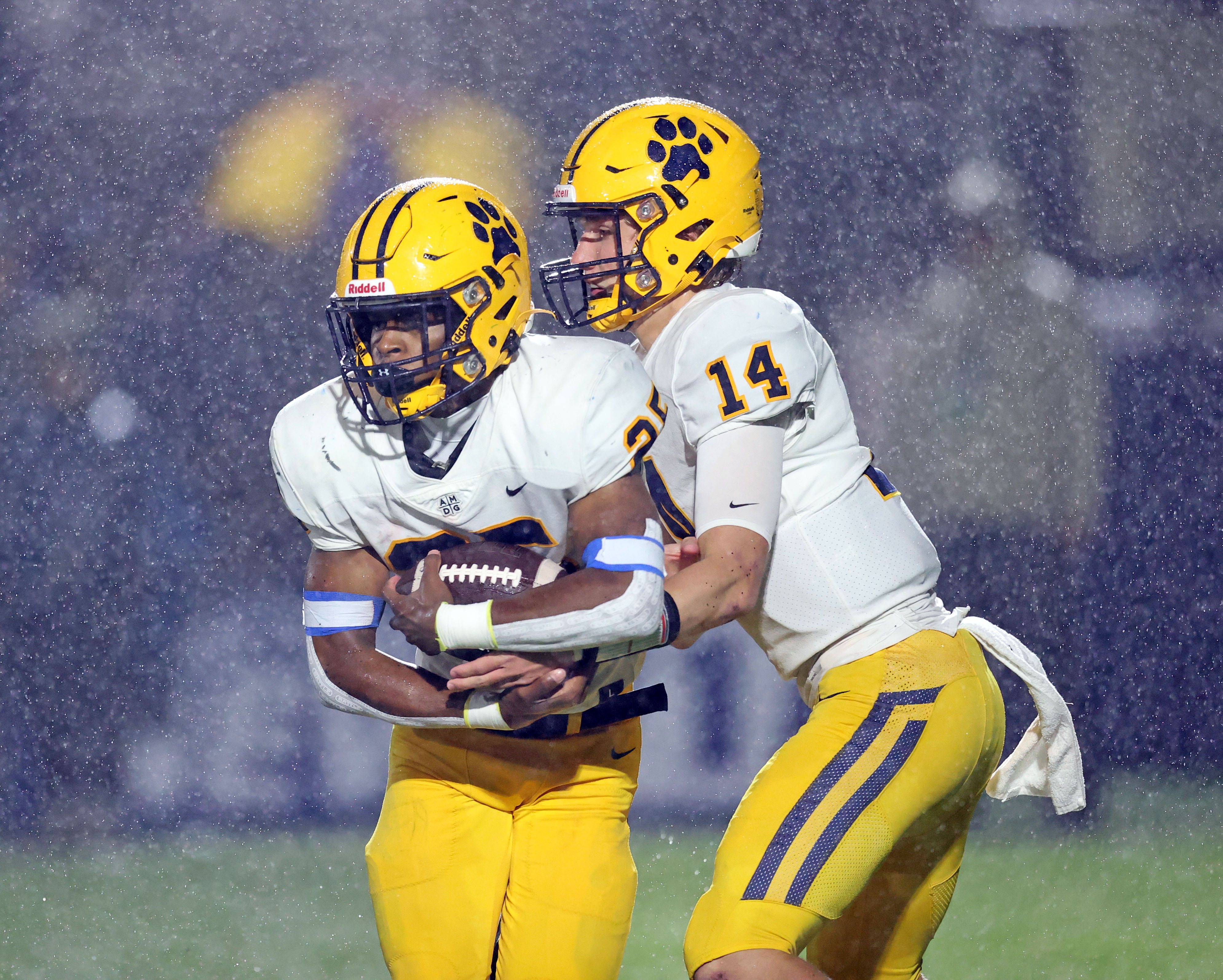 OHSAA Football Divison I Regional Semifinals: St. Edward Vs. St ...