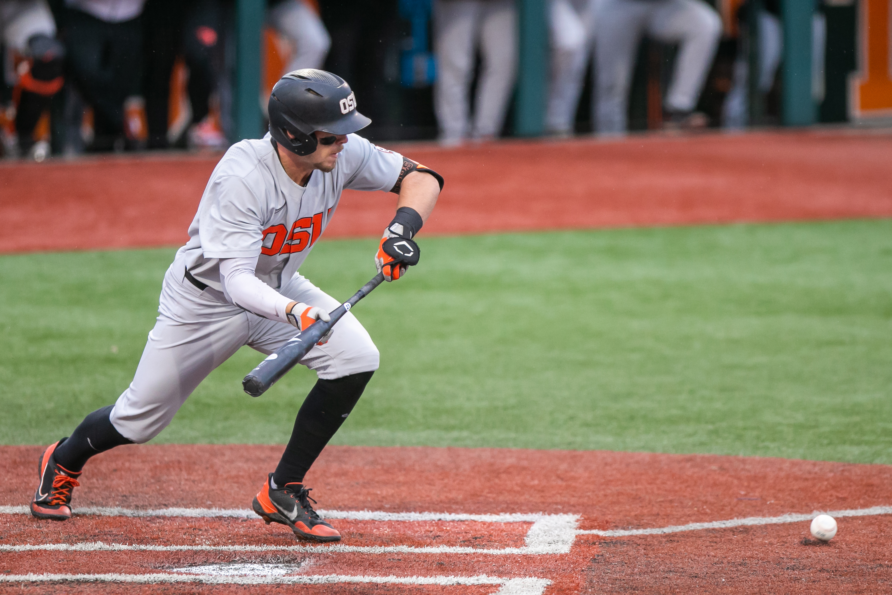 Auburn Baseball: Tigers' bats lead to decisive victory against Trojans