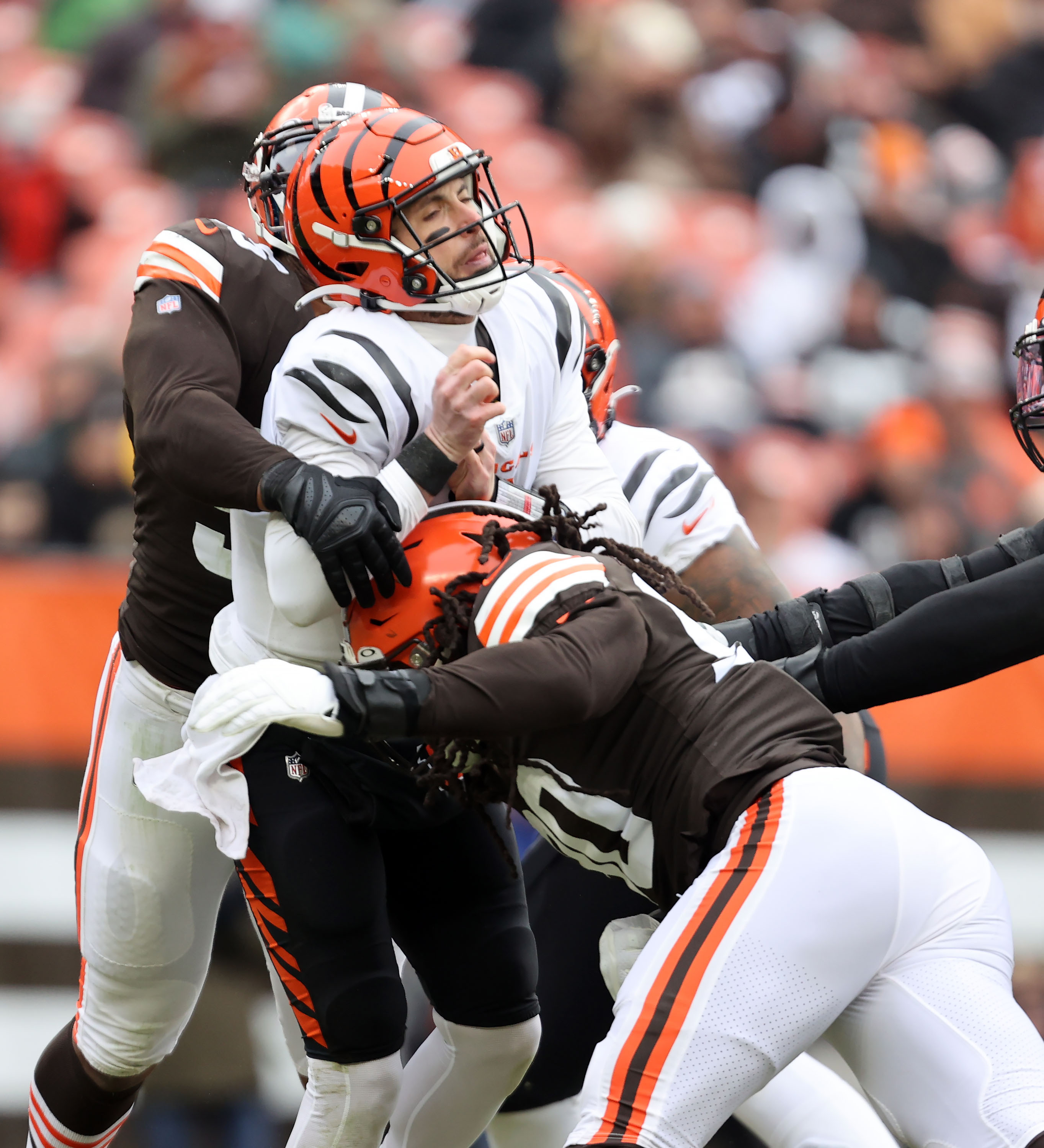 Cincinnati Bengals quarterback Brandon Allen (8) hands the ball