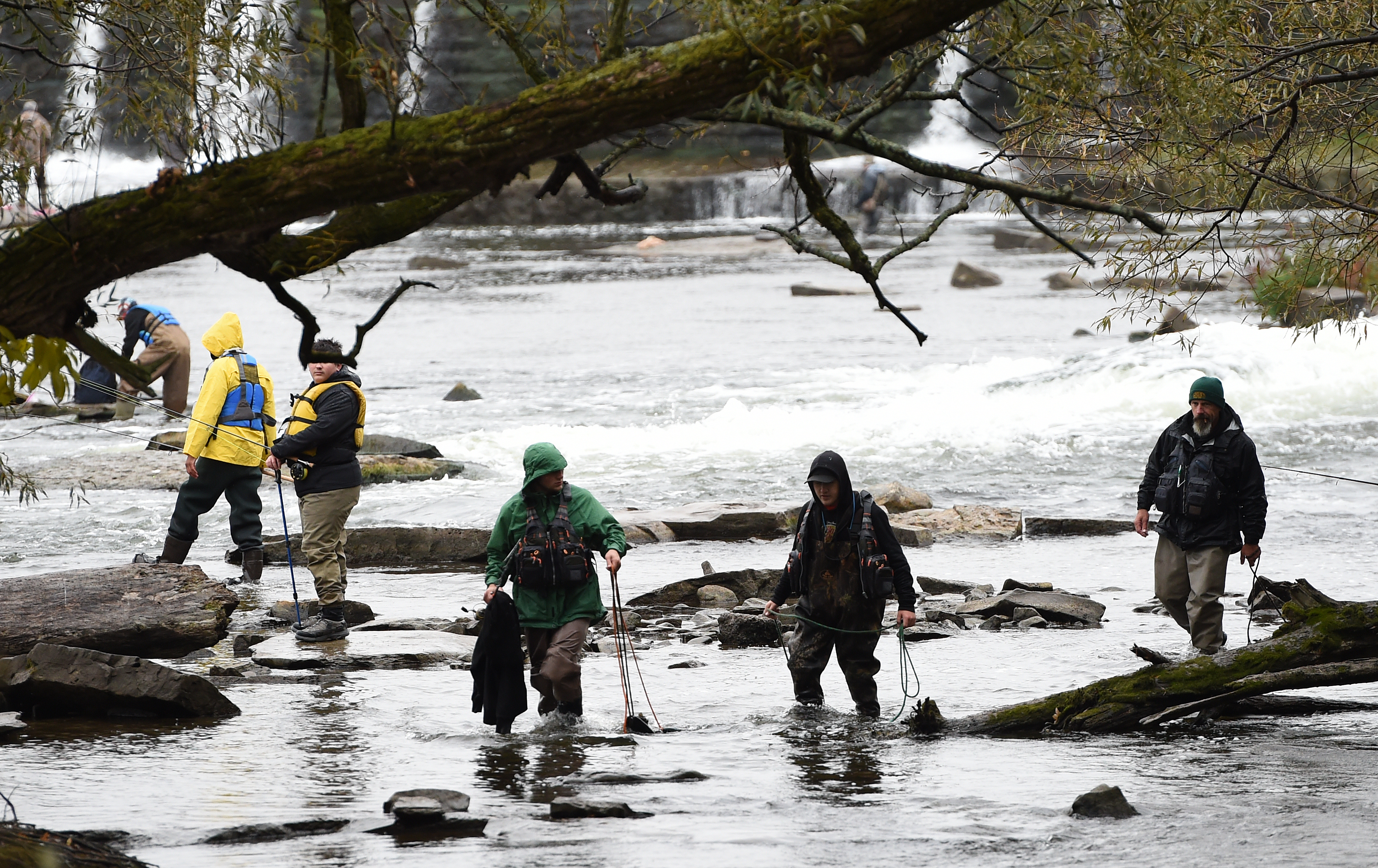 Salmon Run draws big crowds in Oswego County 