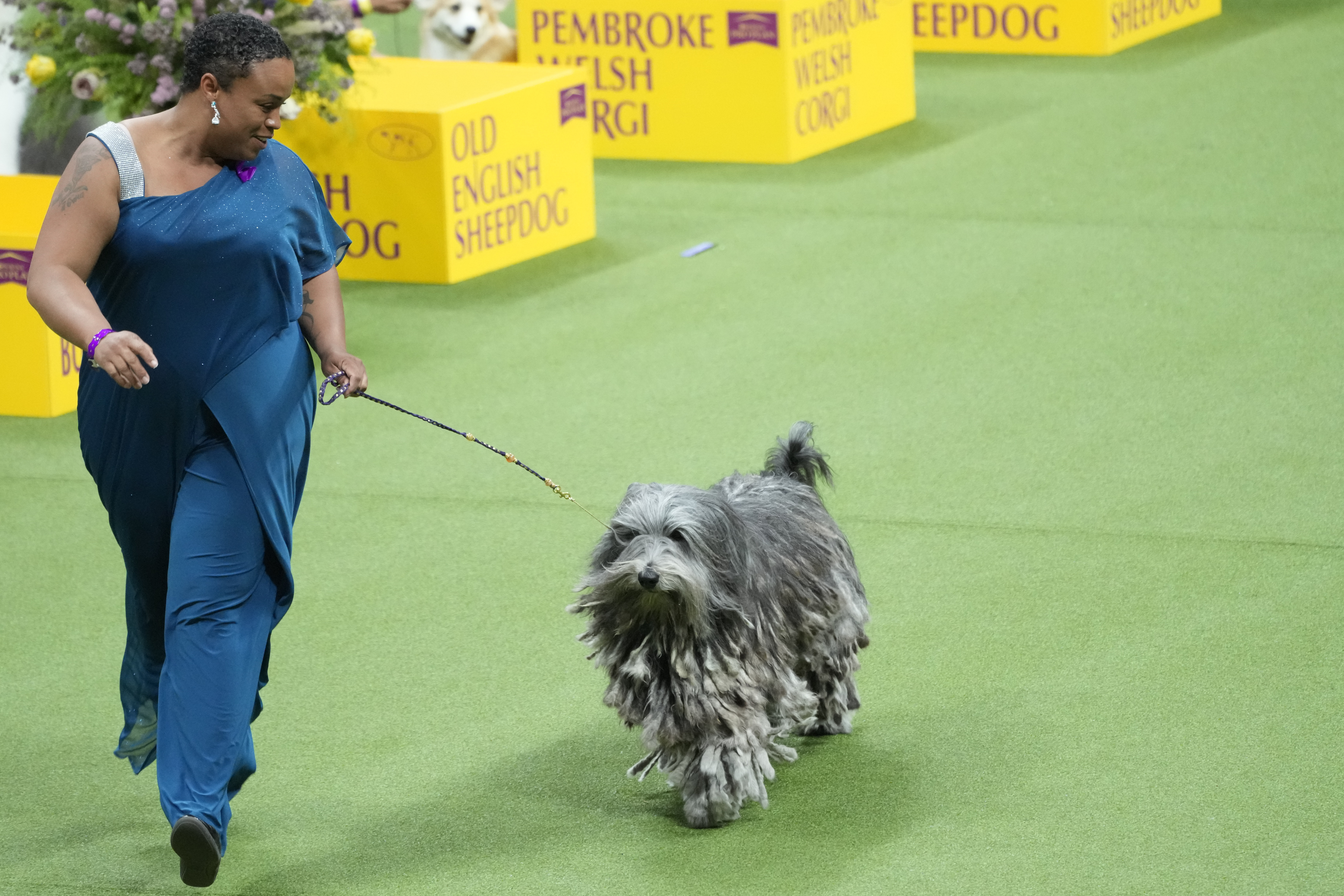 Herding Dog Show in the National Show 2022