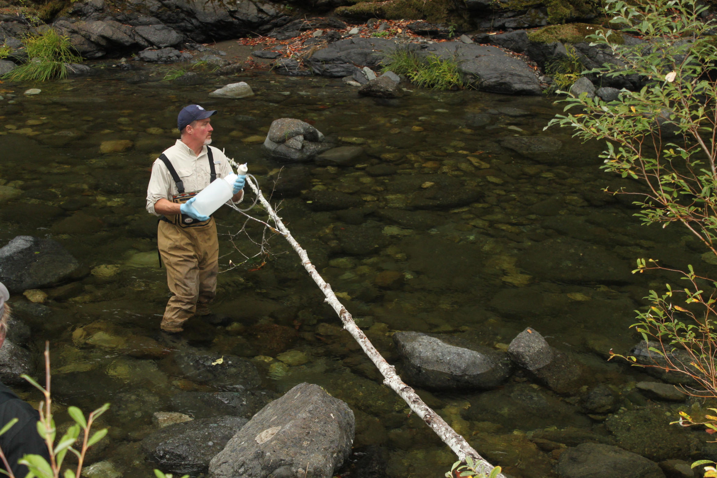 The Avid Angler, Fly Fishing Shop Seattle, WA, Fishing Conditions, Water  Profiles, Rivers