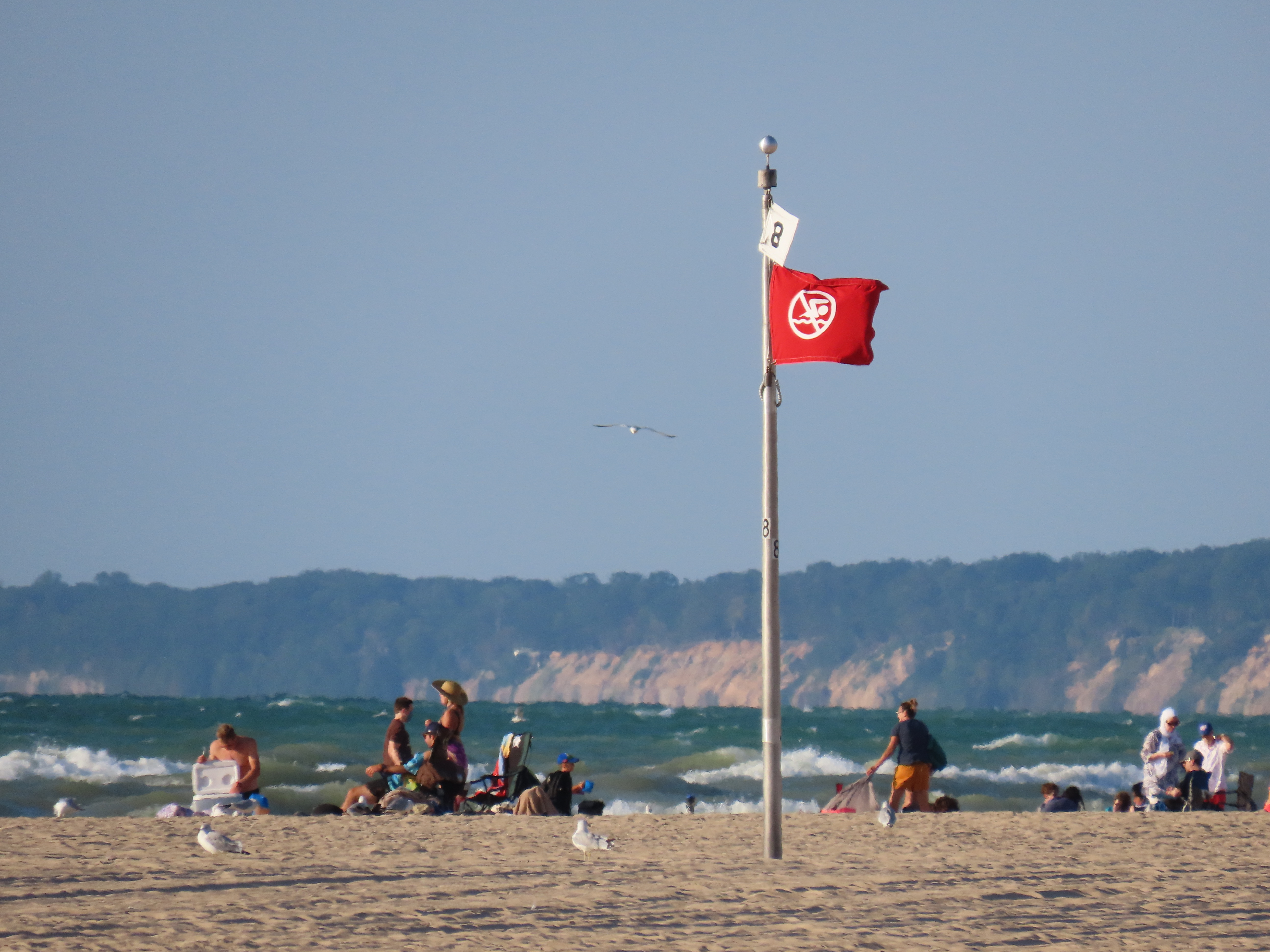 South Haven Beach Flags: Your Complete Guide to Beach Safety and Enjoyment