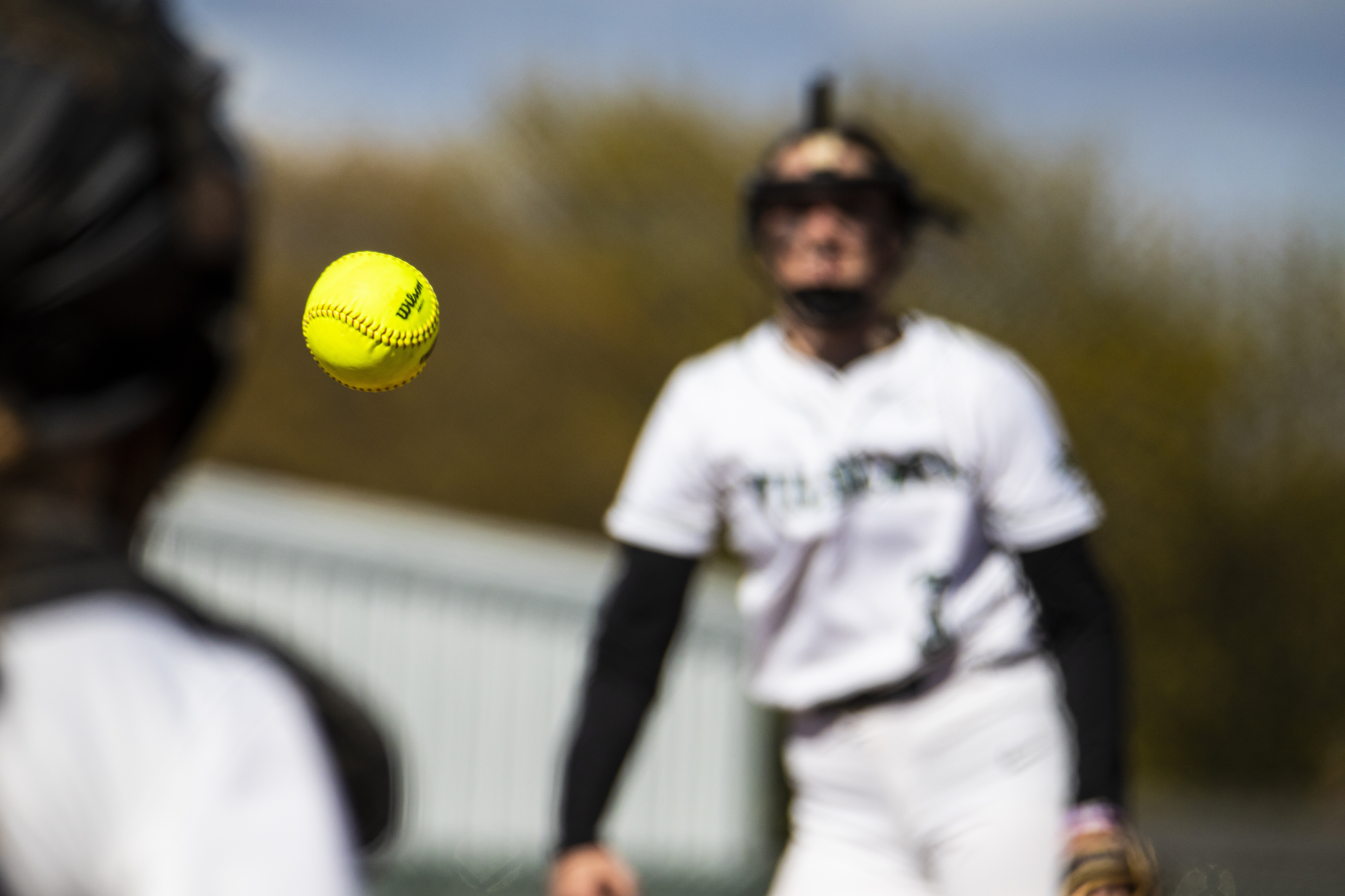 Softball: Lions 'put their rally caps on' for thrilling win over