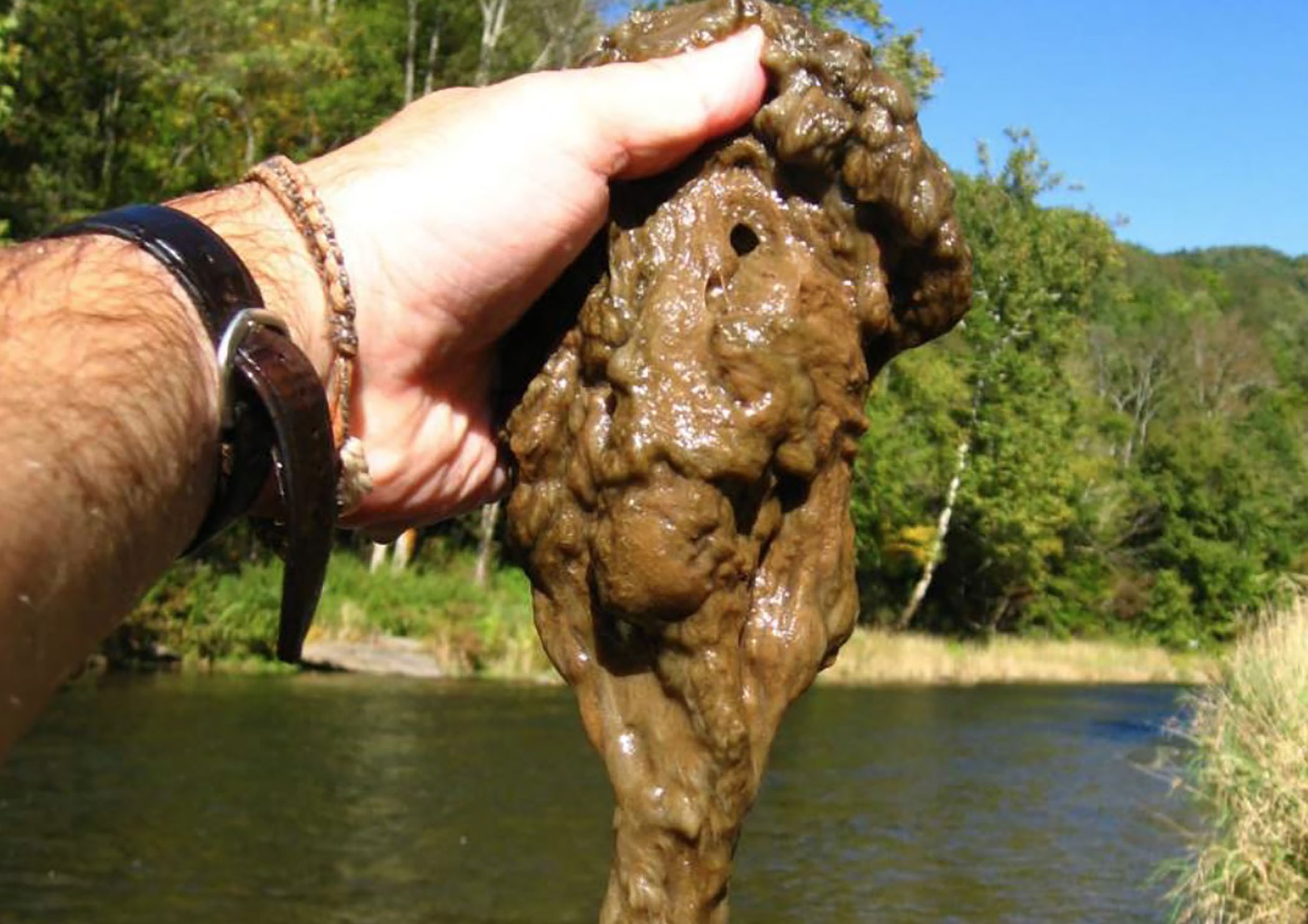  Rock Snot Algae Research Underway Mlive