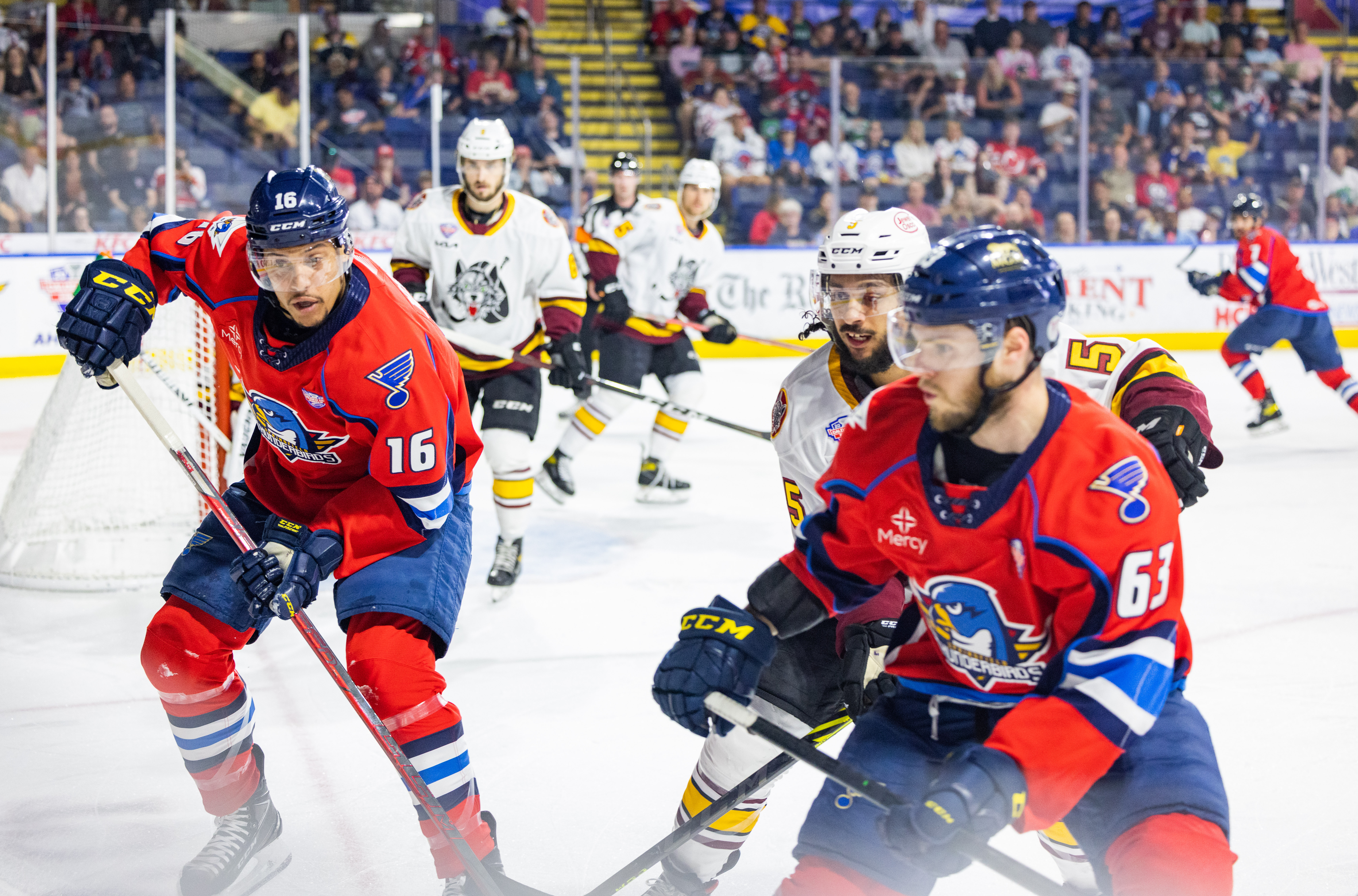 BarDown on X: The Springfield Thunderbirds switched things up for
