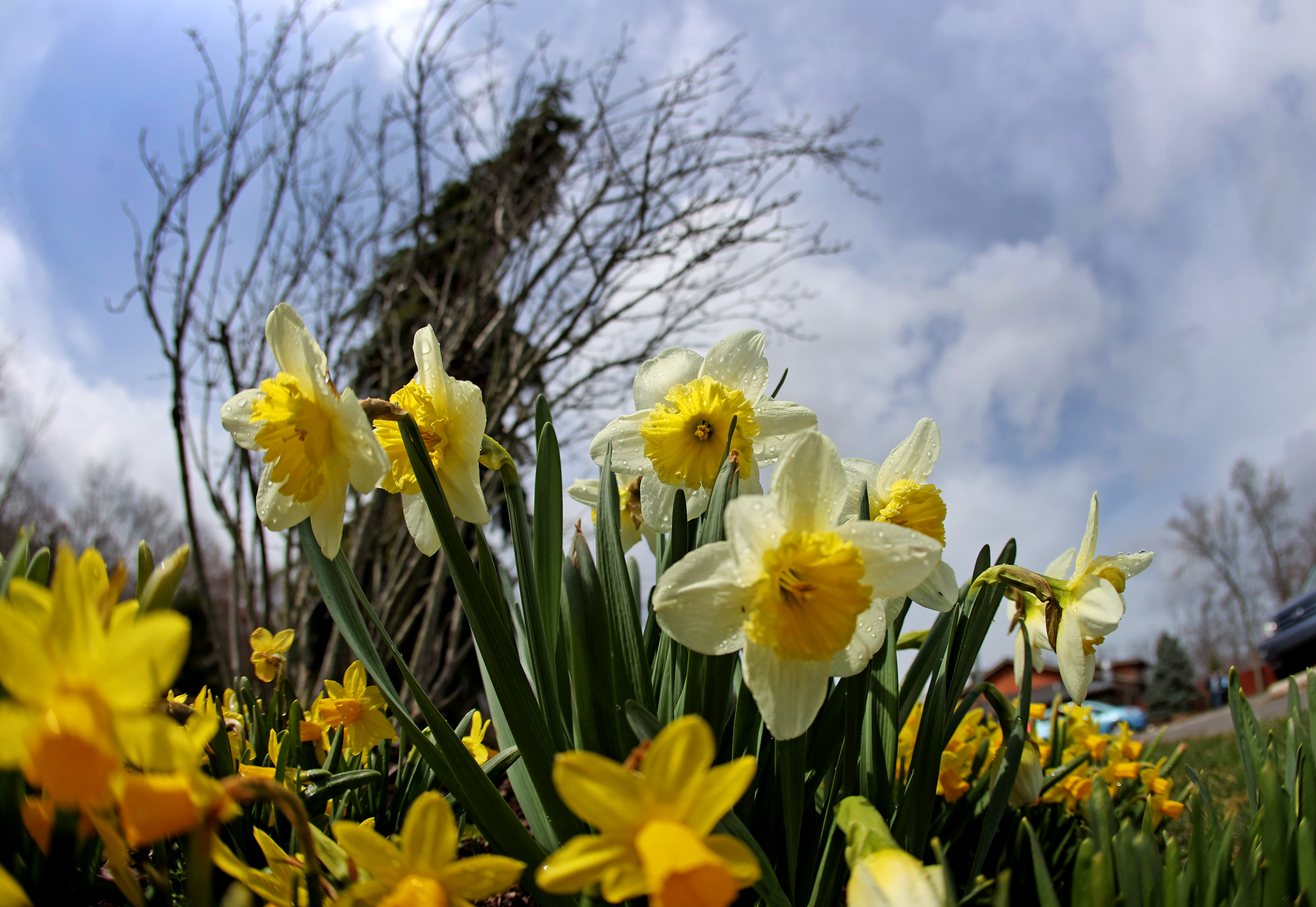Spring is in the Northeast Ohio air 2022 - cleveland.com