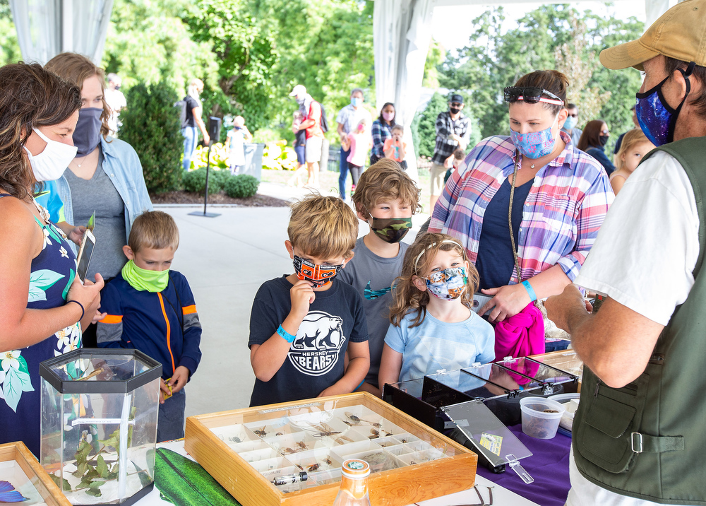 Bug O’Rama at Hershey Gardens - pennlive.com