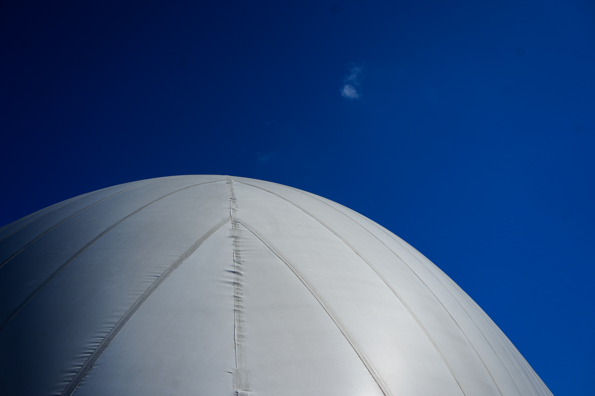 The Dome Sports Center's deflation celebration - mlive.com