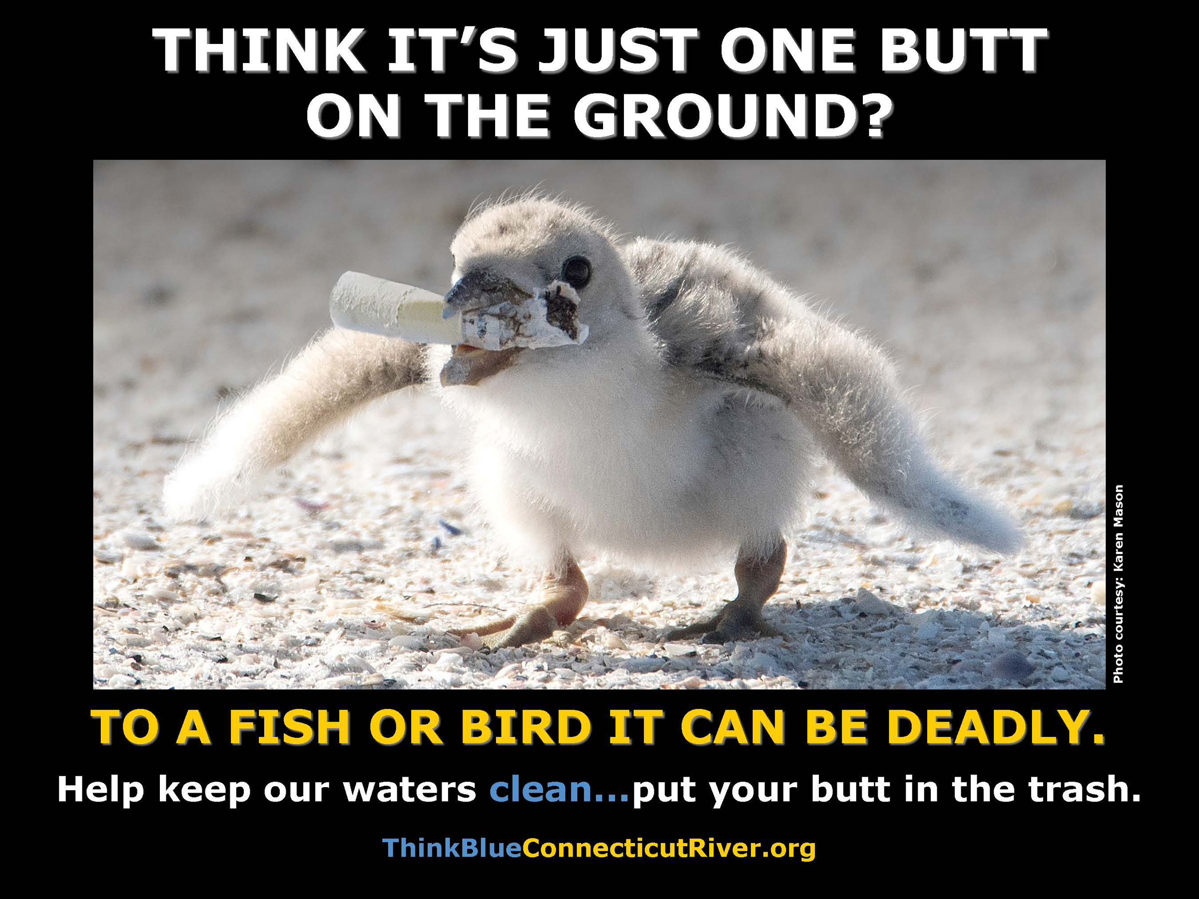 Butt out! Connecticut River Stormwater Committee wants cigarette butts ...