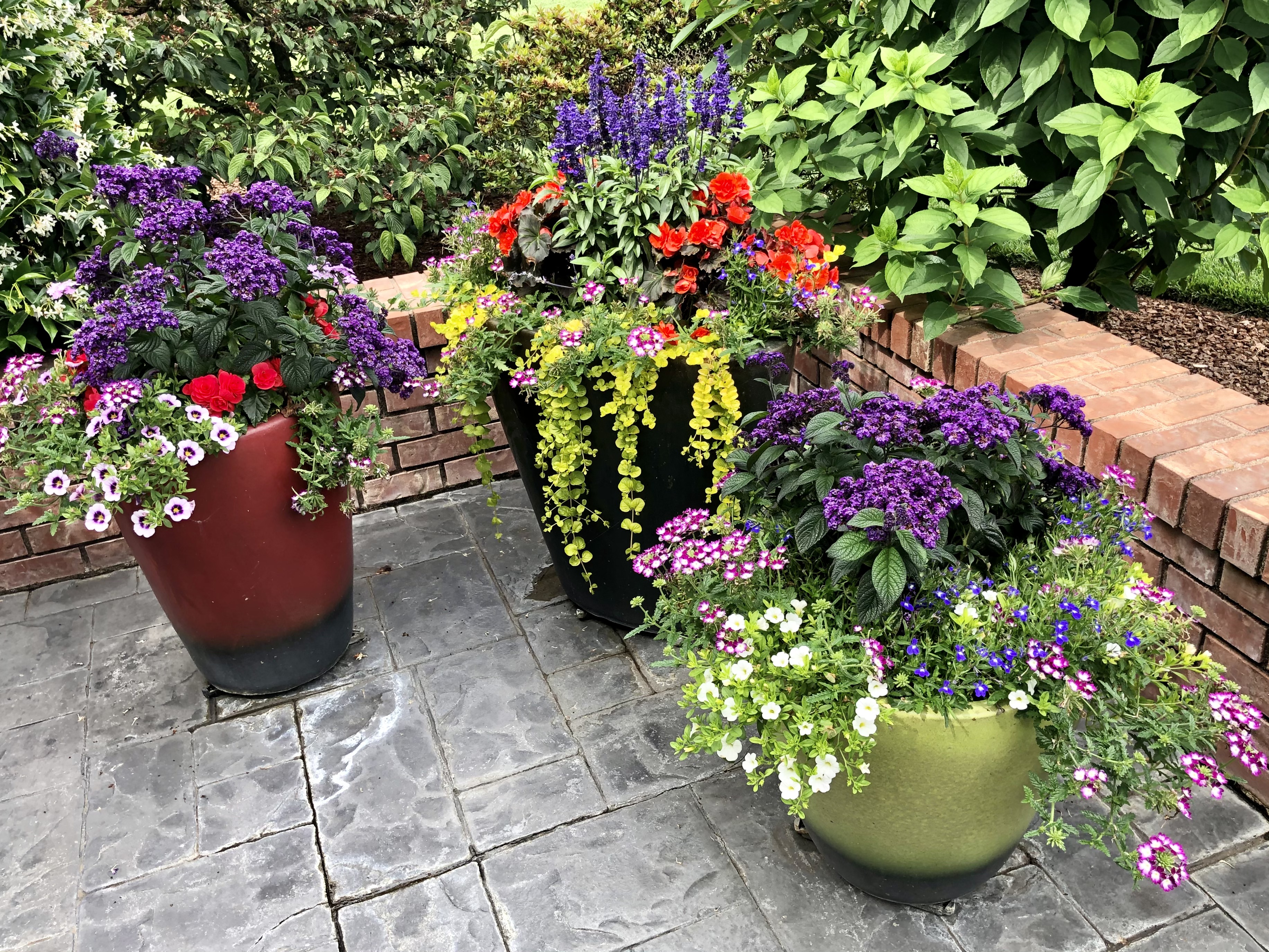 pretty potted plants and flowers perk up your front porch or patio