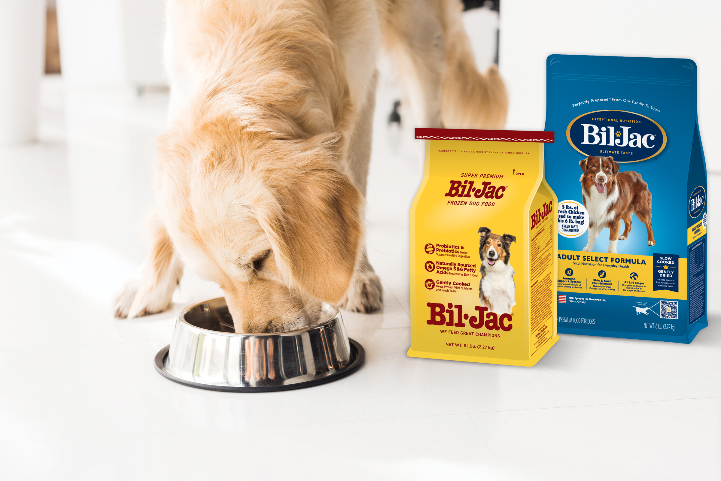 Bil jac frozen dog food chewy sale