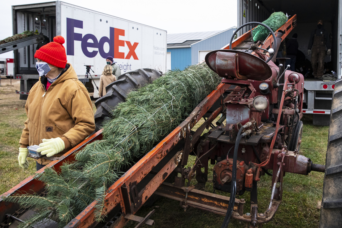 Volunteers gather to load Christmas trees for 'Trees for Troops