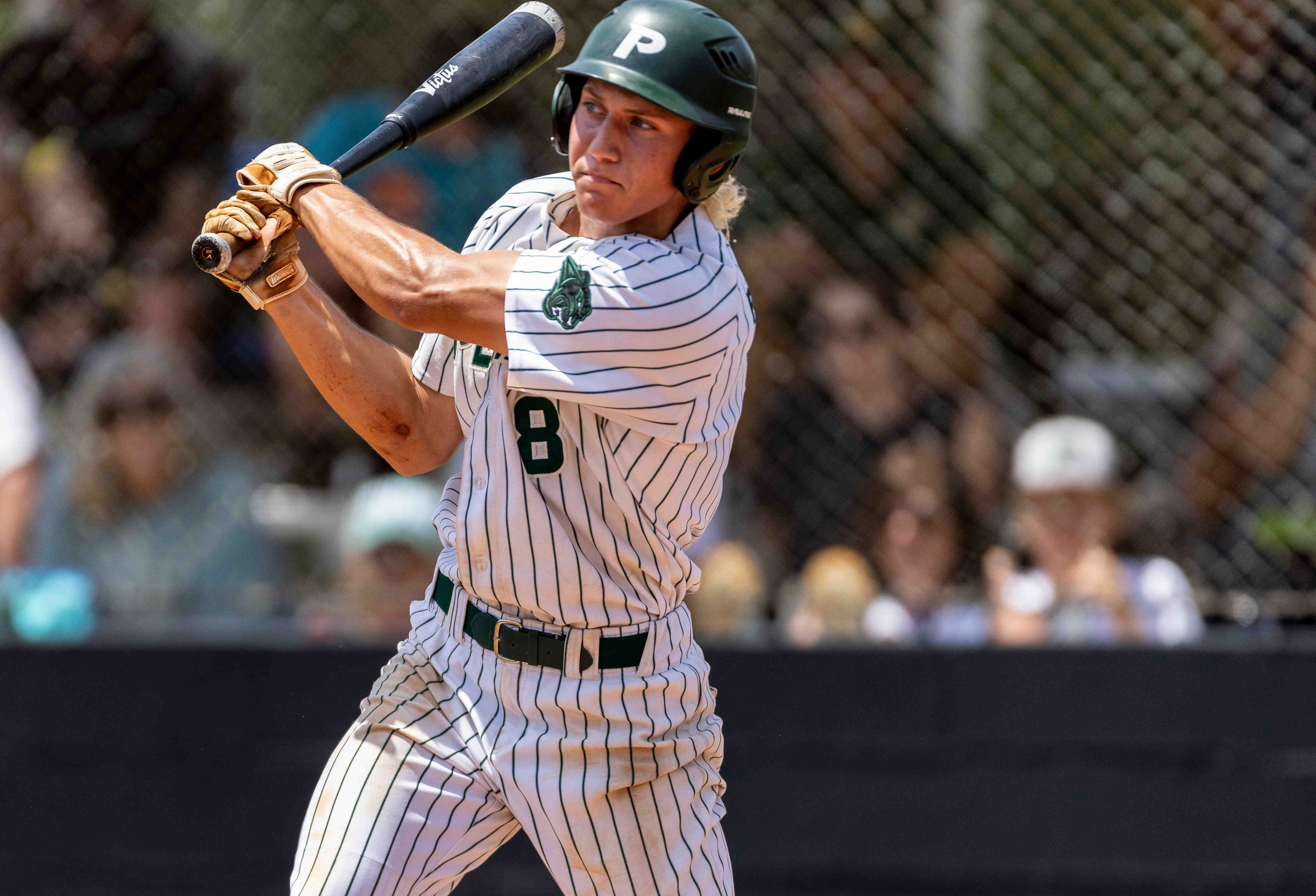 Pelham at HillcrestTuscaloosa 6A Baseball Playoffs
