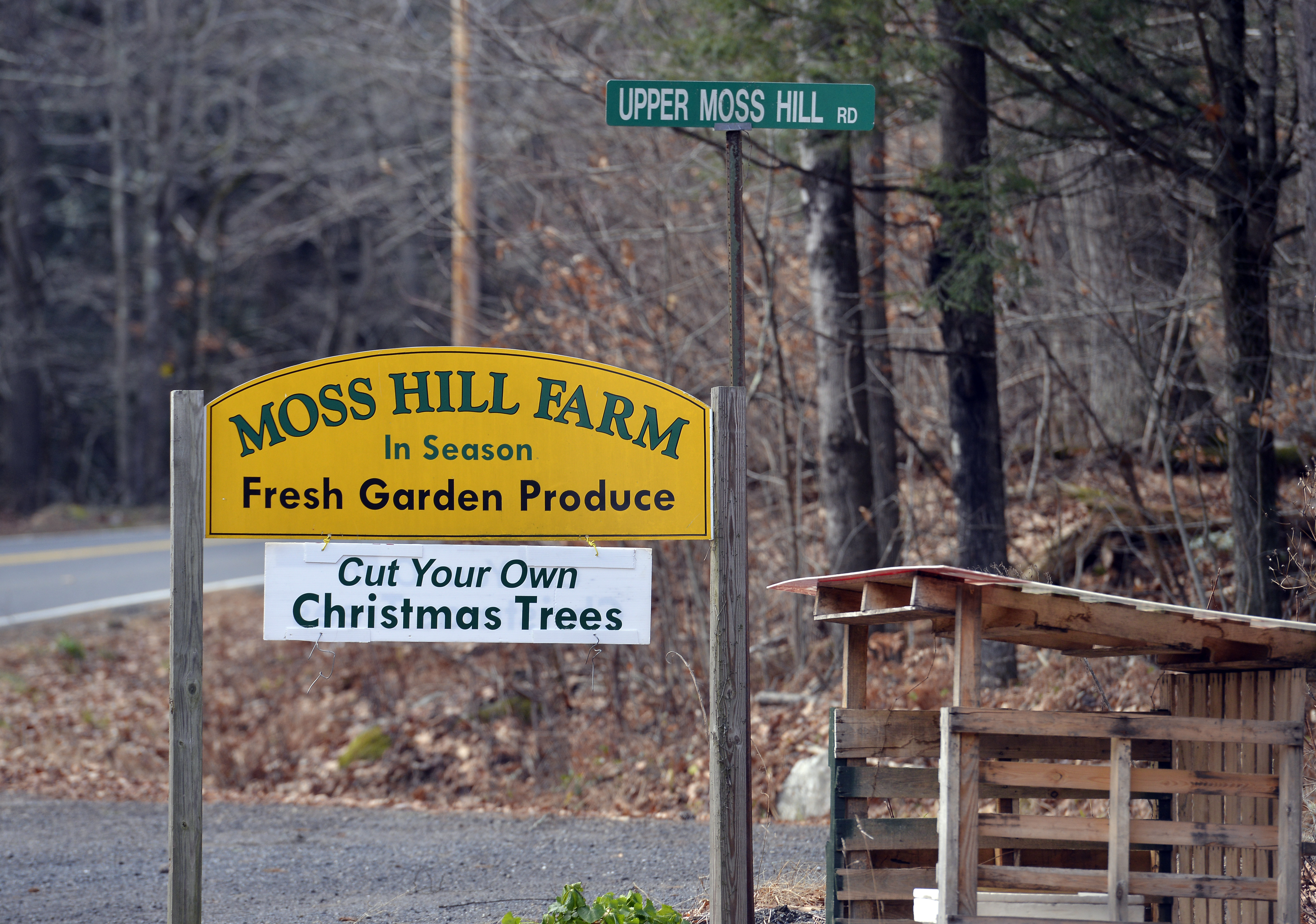 For six decades, the McCullerses have been selling Christmas trees in  Hillsborough