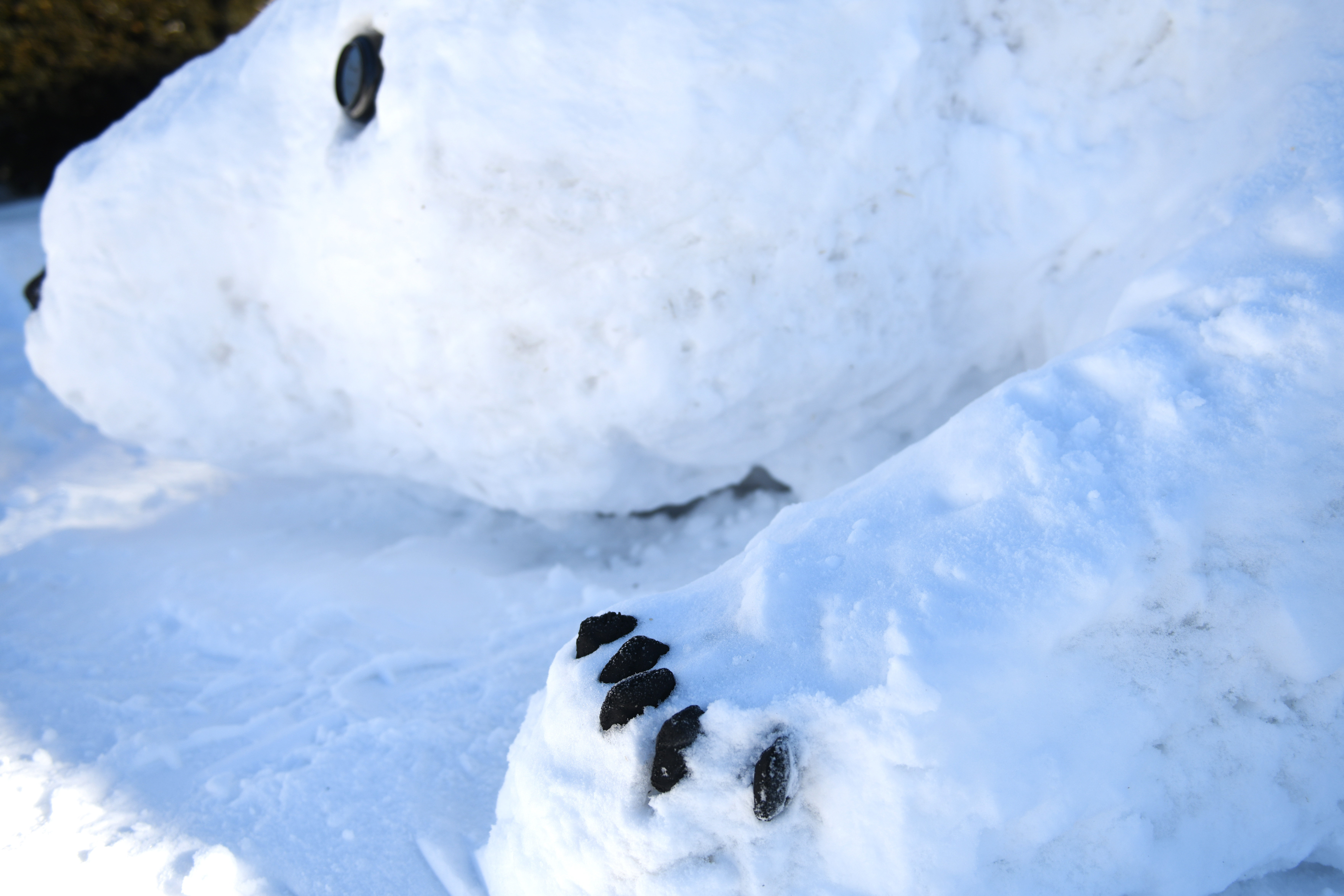 HUMAN MADE POLAR BEAR SNOW DOME スノードーム