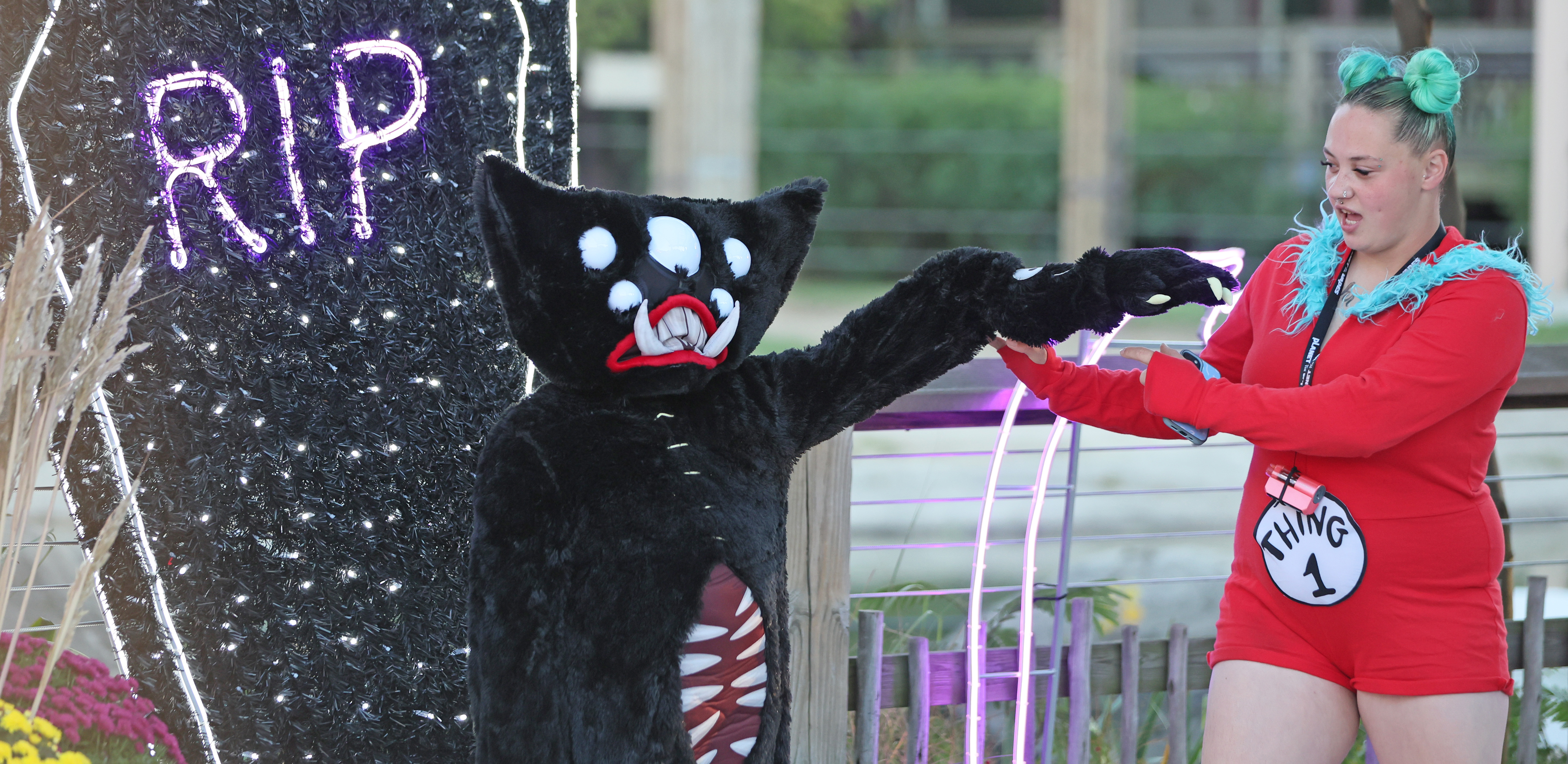 Boo at the Zoo returns to Cleveland Metroparks Zoo, October 9, 2025 ...
