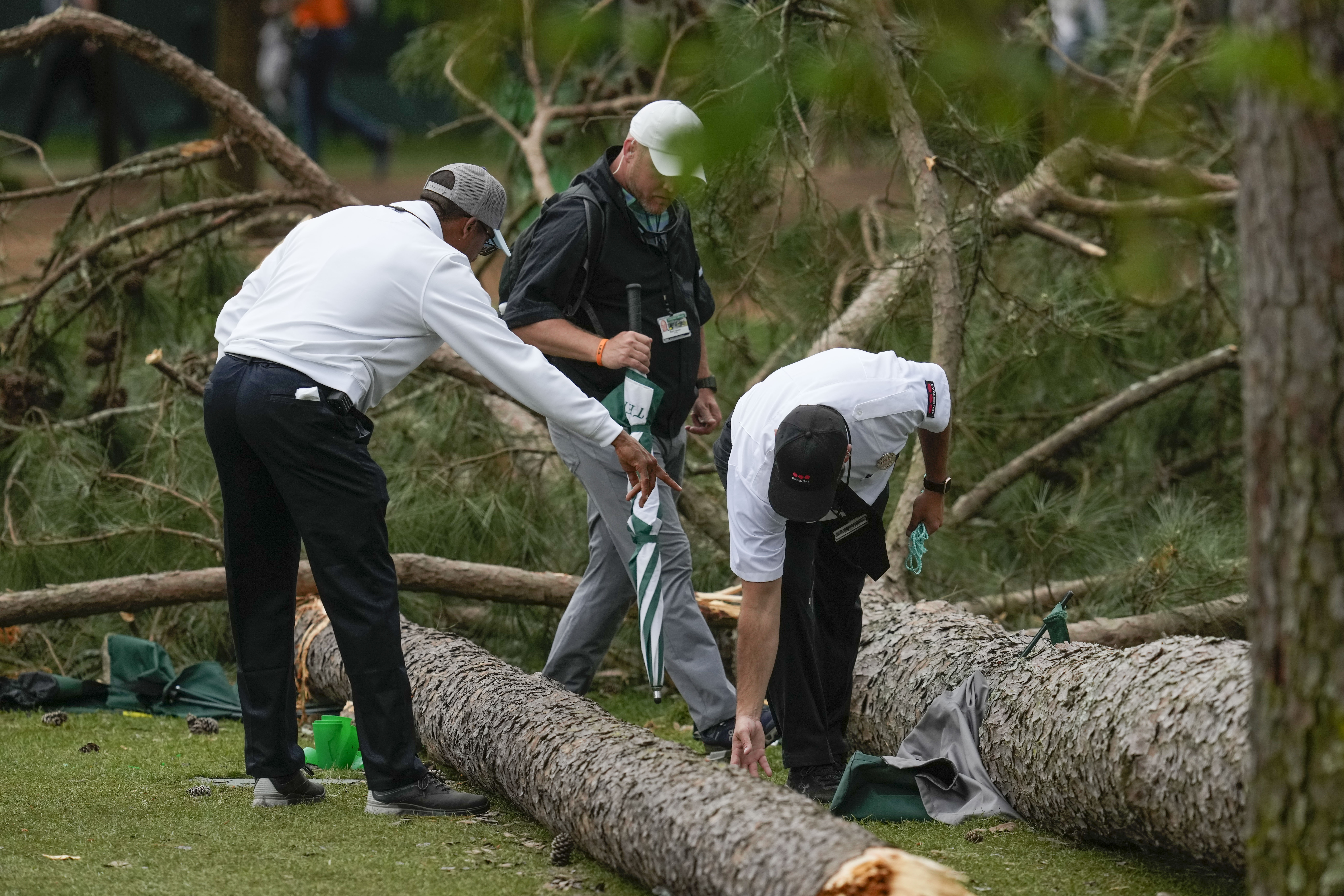 Towering trees fall at 2023 Masters, narrowly missing fans in attendance  (video) 