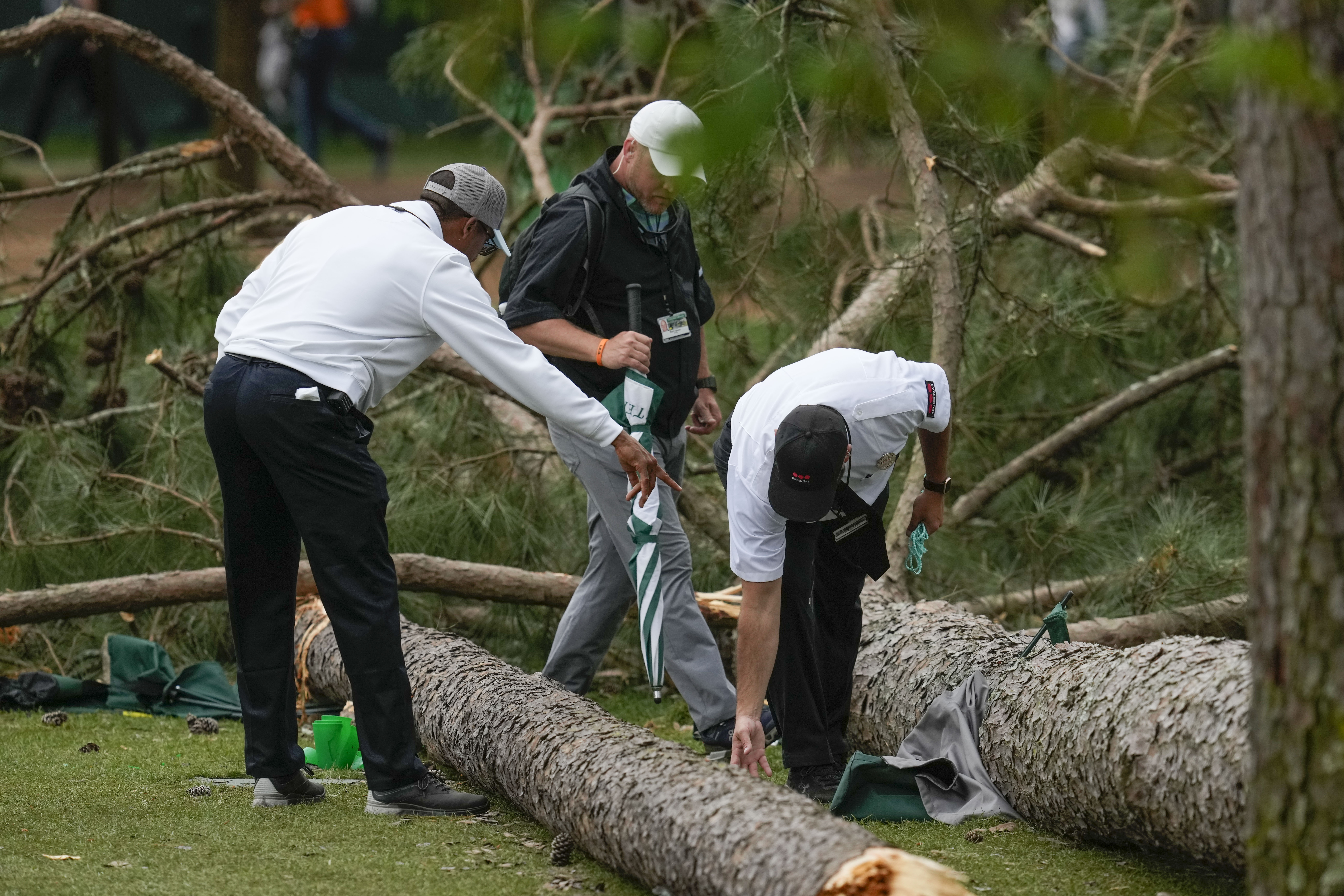 Masters 2023: Scary scene unfolds as trees collapse near patrons at Augusta  National; play suspended for Friday, Golf News and Tour Information