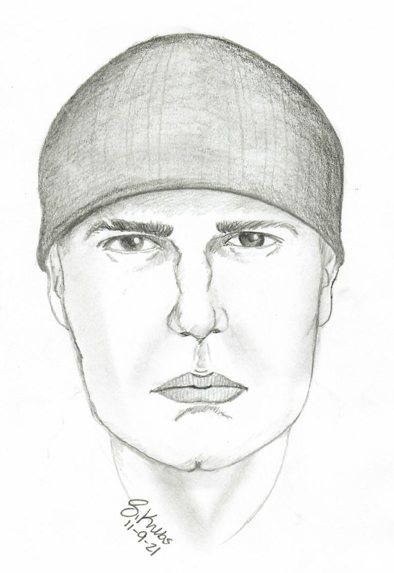 Police release sketch of suspect in attempted sexual assault at Port Huron park