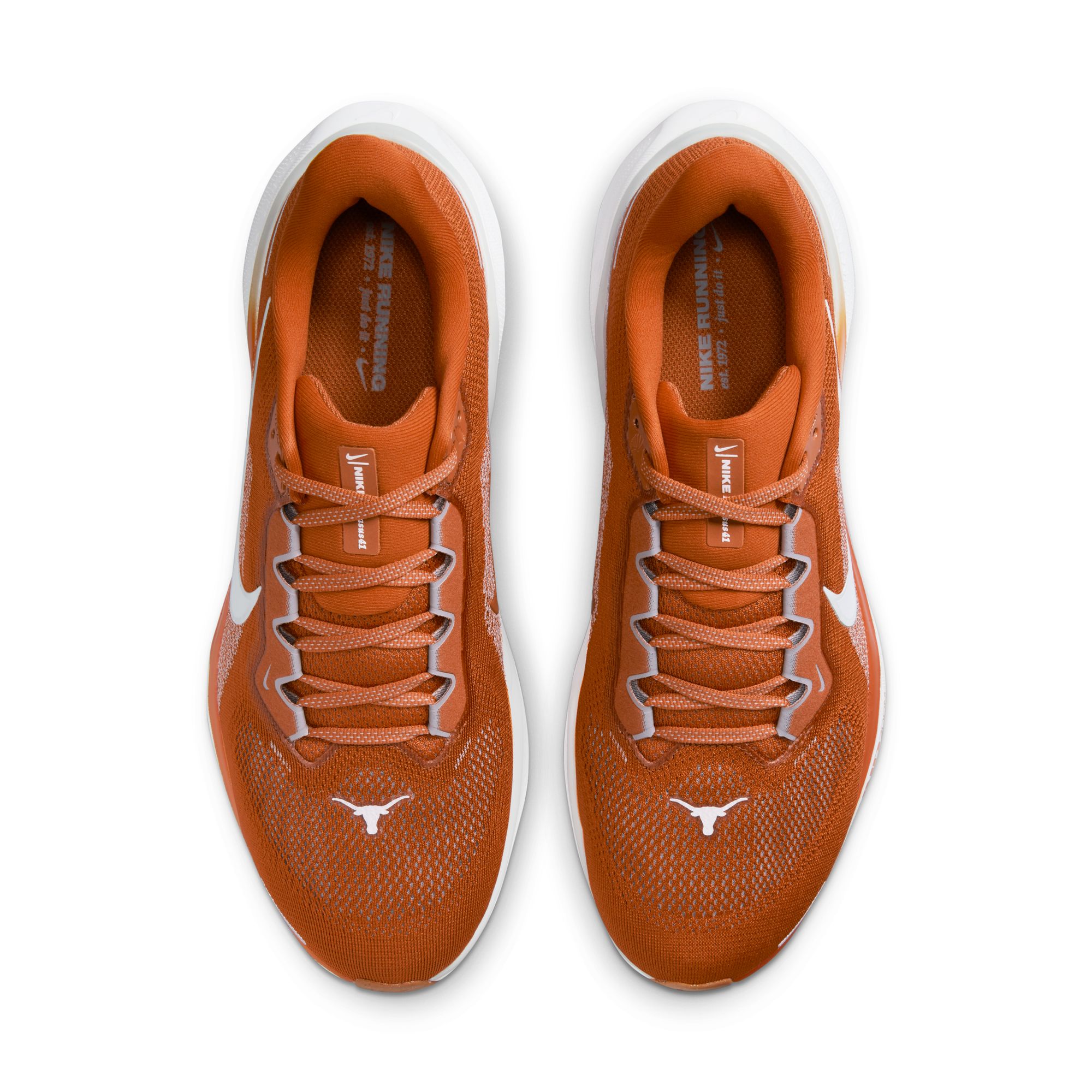 Texas Nike Zoom Pegasus 41: How to buy latest Longhorns  display picture 1
