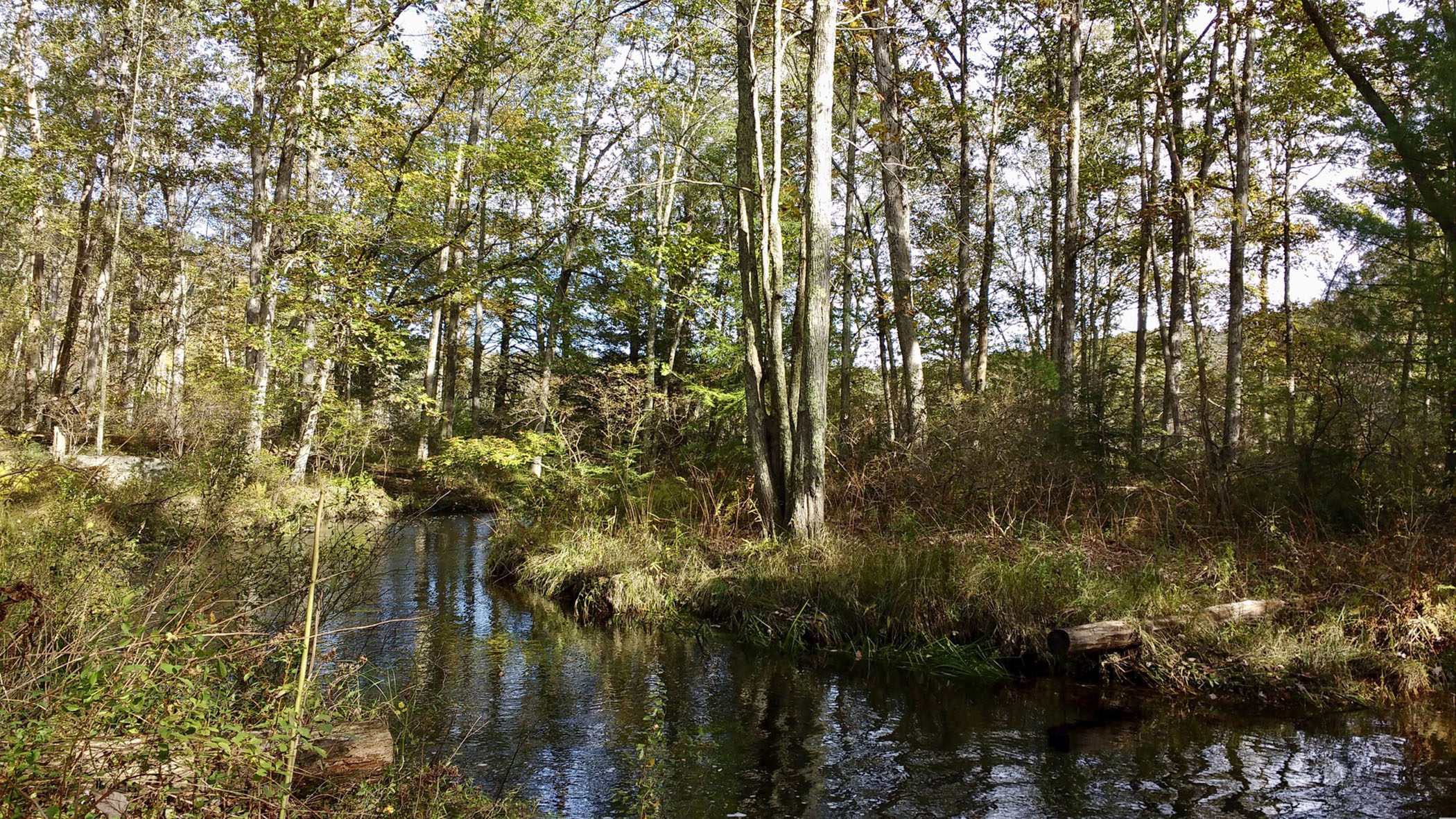 State forests expand by nearly 400 acres