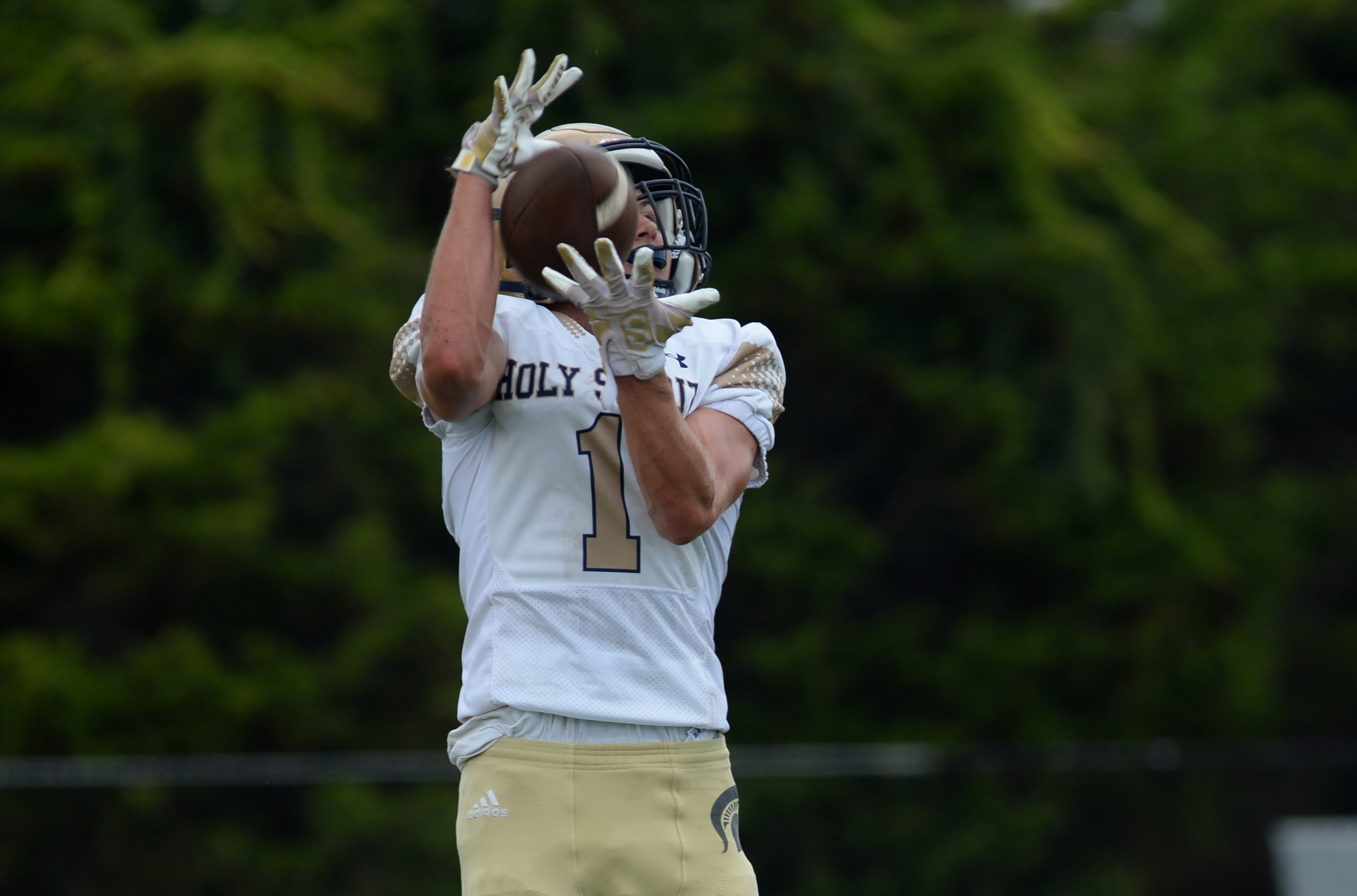 H.S. football: Cherokee's season finale epitomized its character