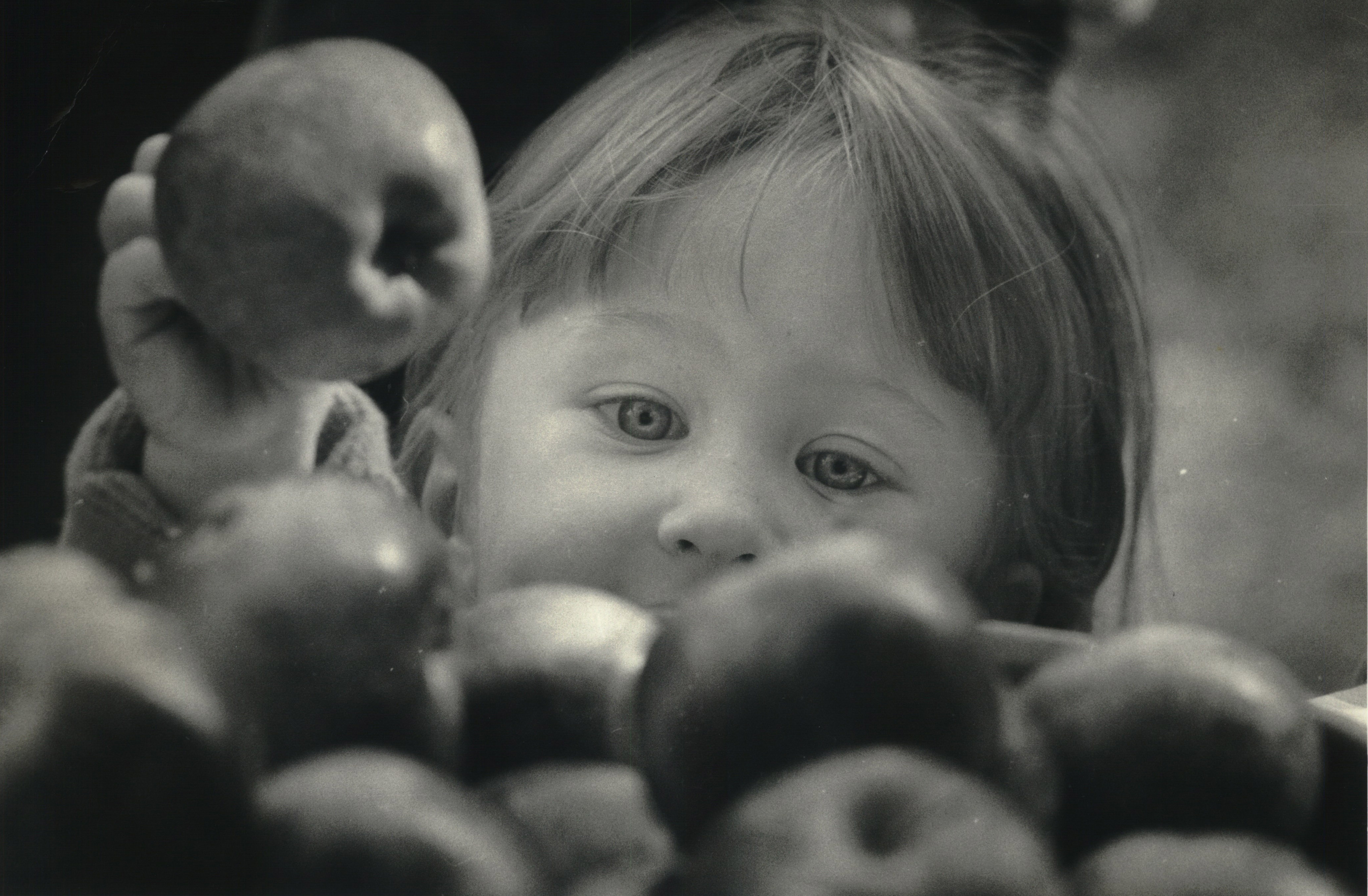 LaFayette Apple Festival turns 50 