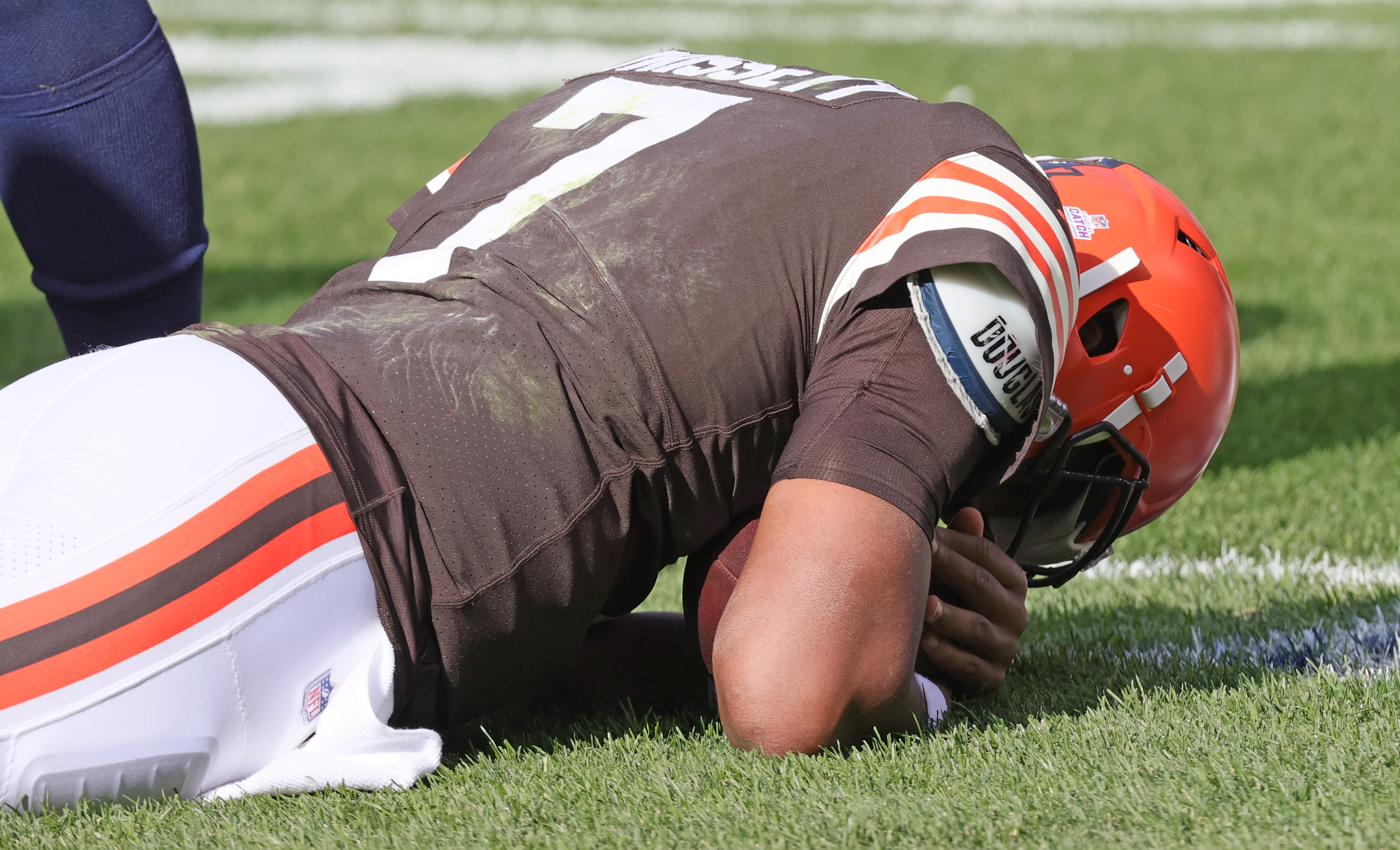 Cleveland Browns Quarterback Jacoby Brissett Vs. New England Patriots ...