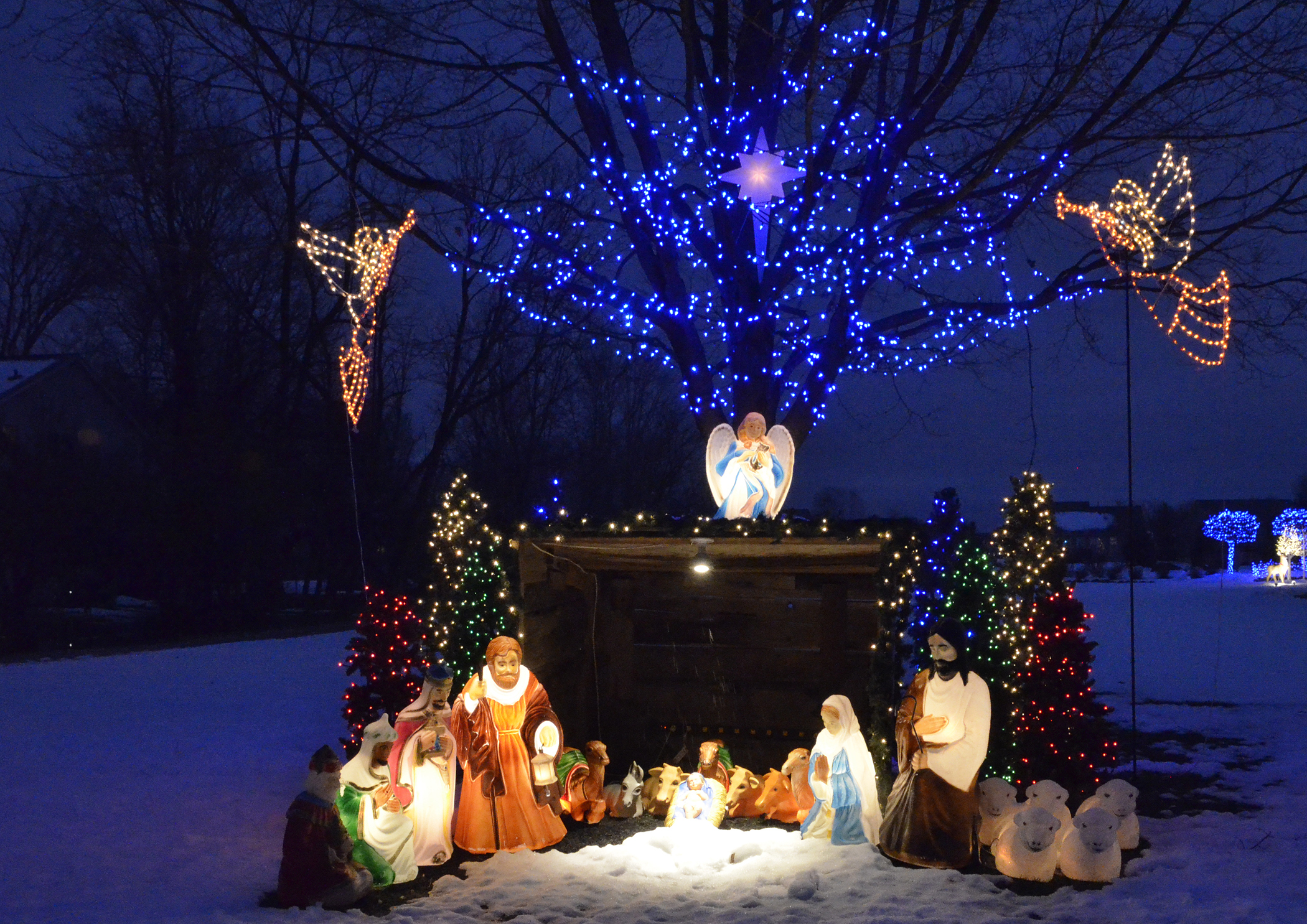 Celebrate the true meaning of Christmas: Olmsted Dates and Data