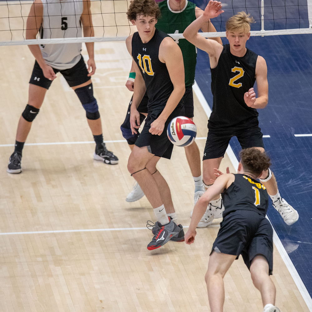 Central Dauphin falls to North Allegheny in the Boys volleyball state ...