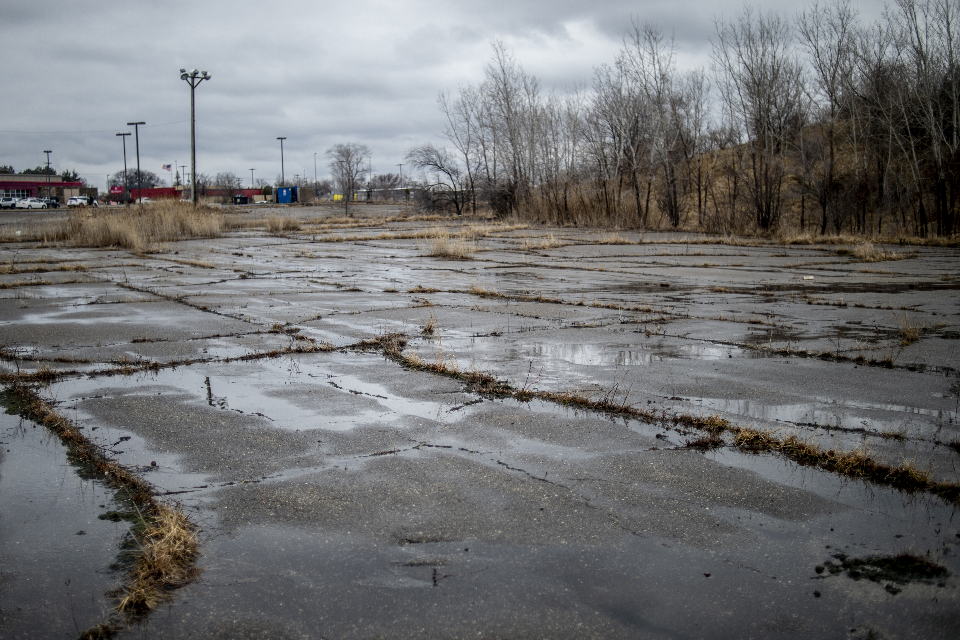 Pirate's Park could reopen with Flint area's support, entrepreneur says 