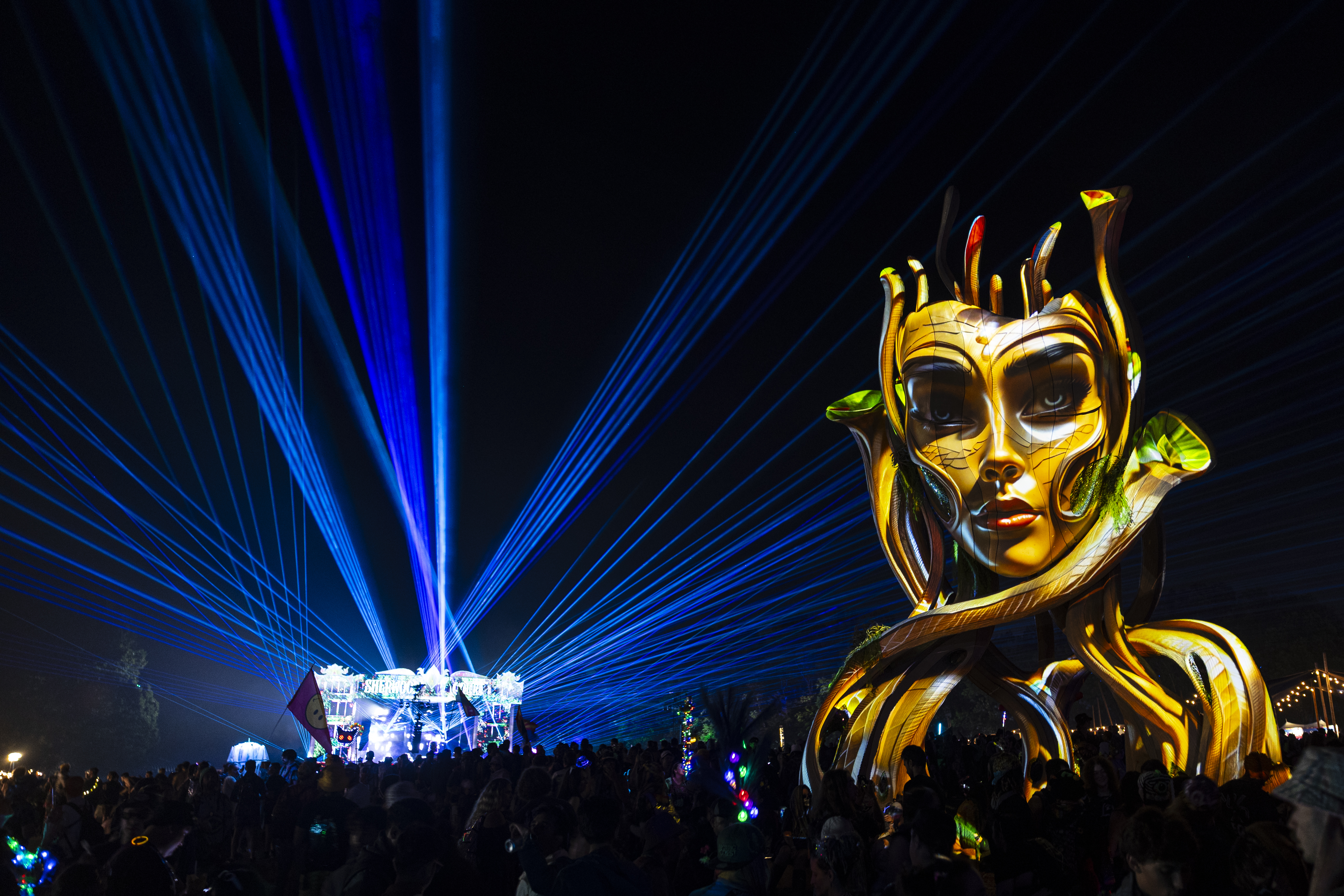 The seven distinct stages of Electric Forest - mlive.com