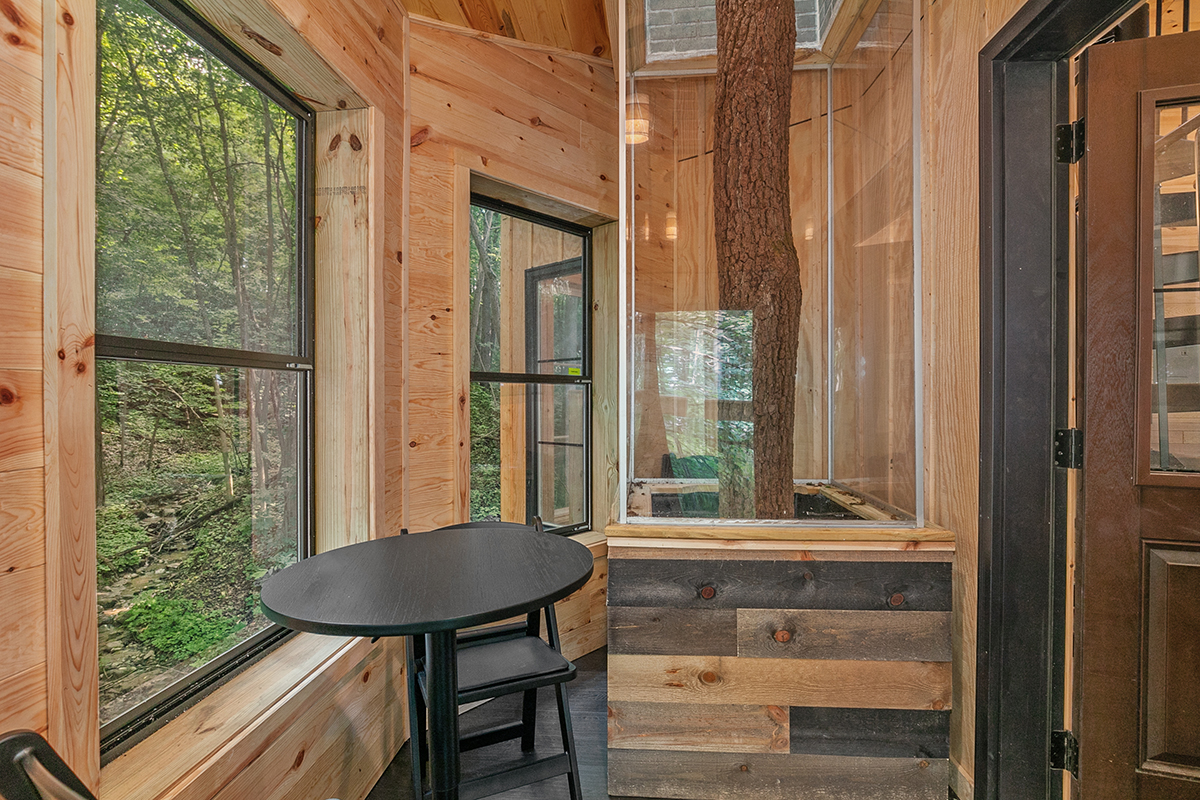 Tree Vistas opens in Ionia, Mich.