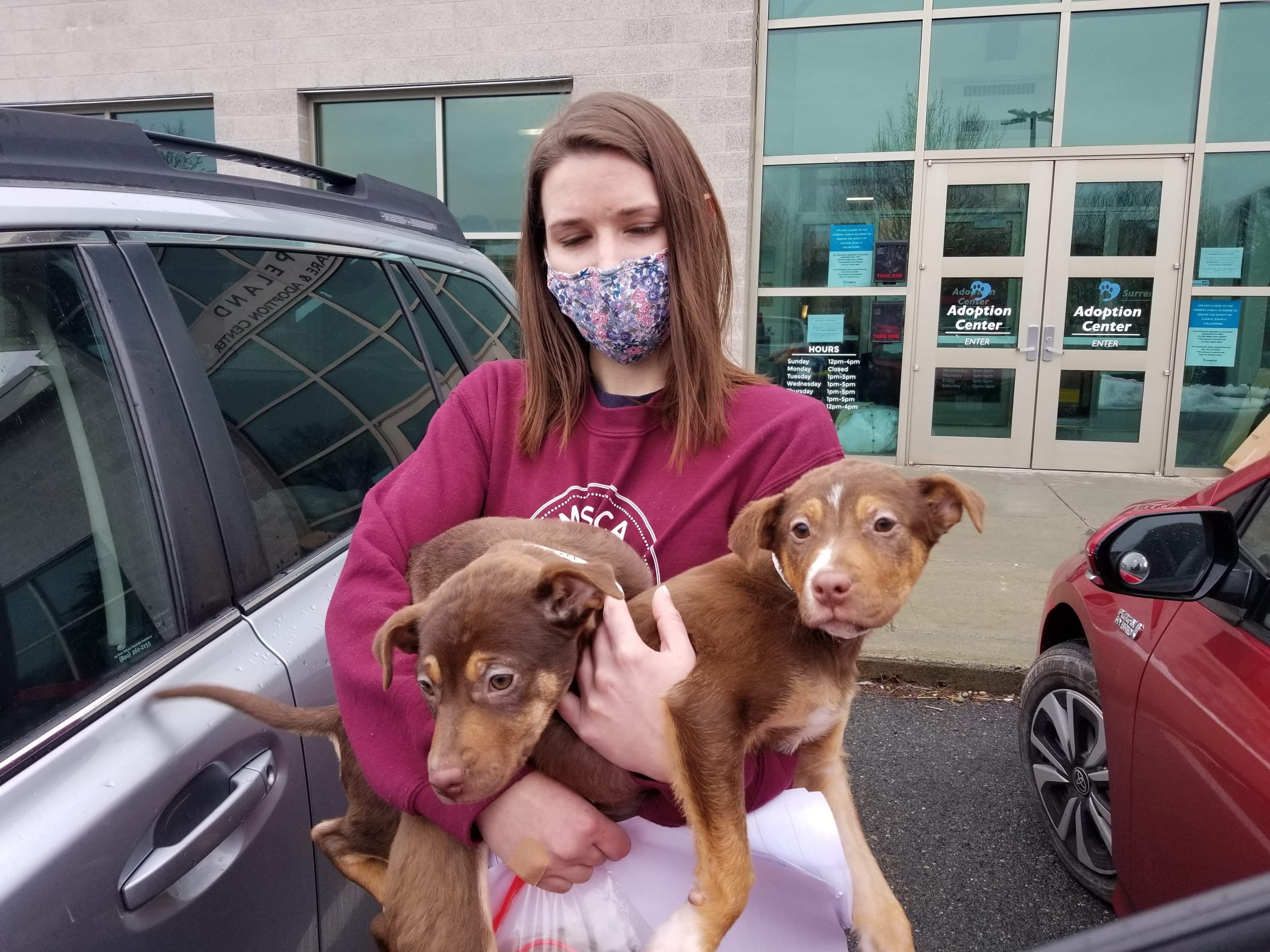 Two Puppies With Broken Hearts Come To Massachusetts For Surgery And To Find Loving Homes With The Help Of Mspca Angell Northeast Animal Shelter Masslive Com