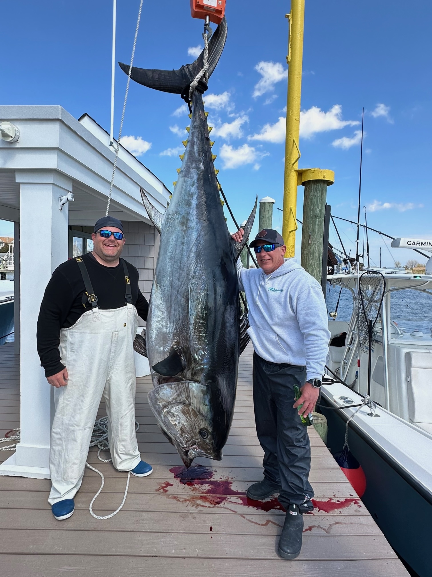 Avid angler hauls in enormous, 718 pound blue fin tuna off the