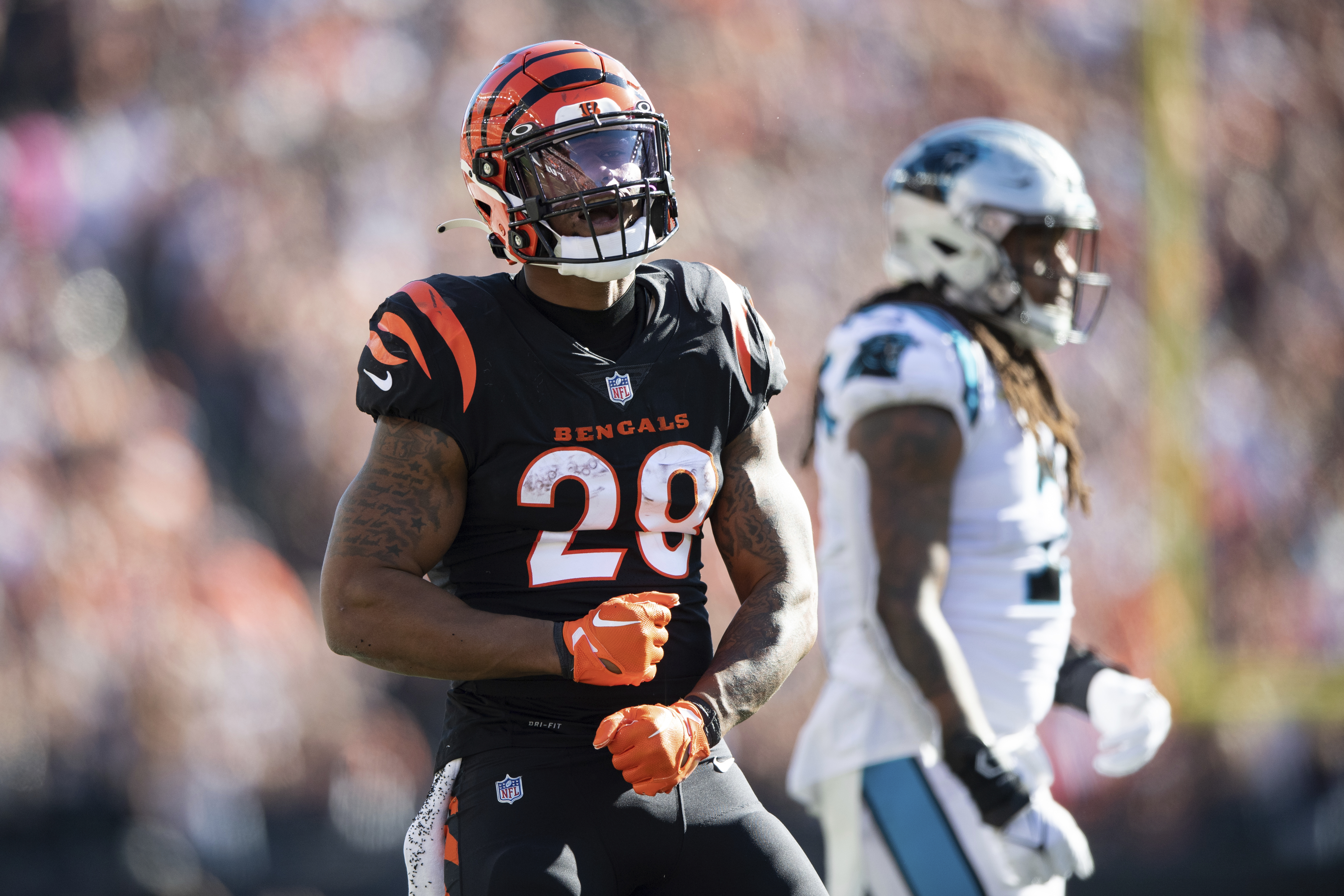 NFL schedule picks 2022: Bengals vs Panthers in Week 9 - Cincy Jungle