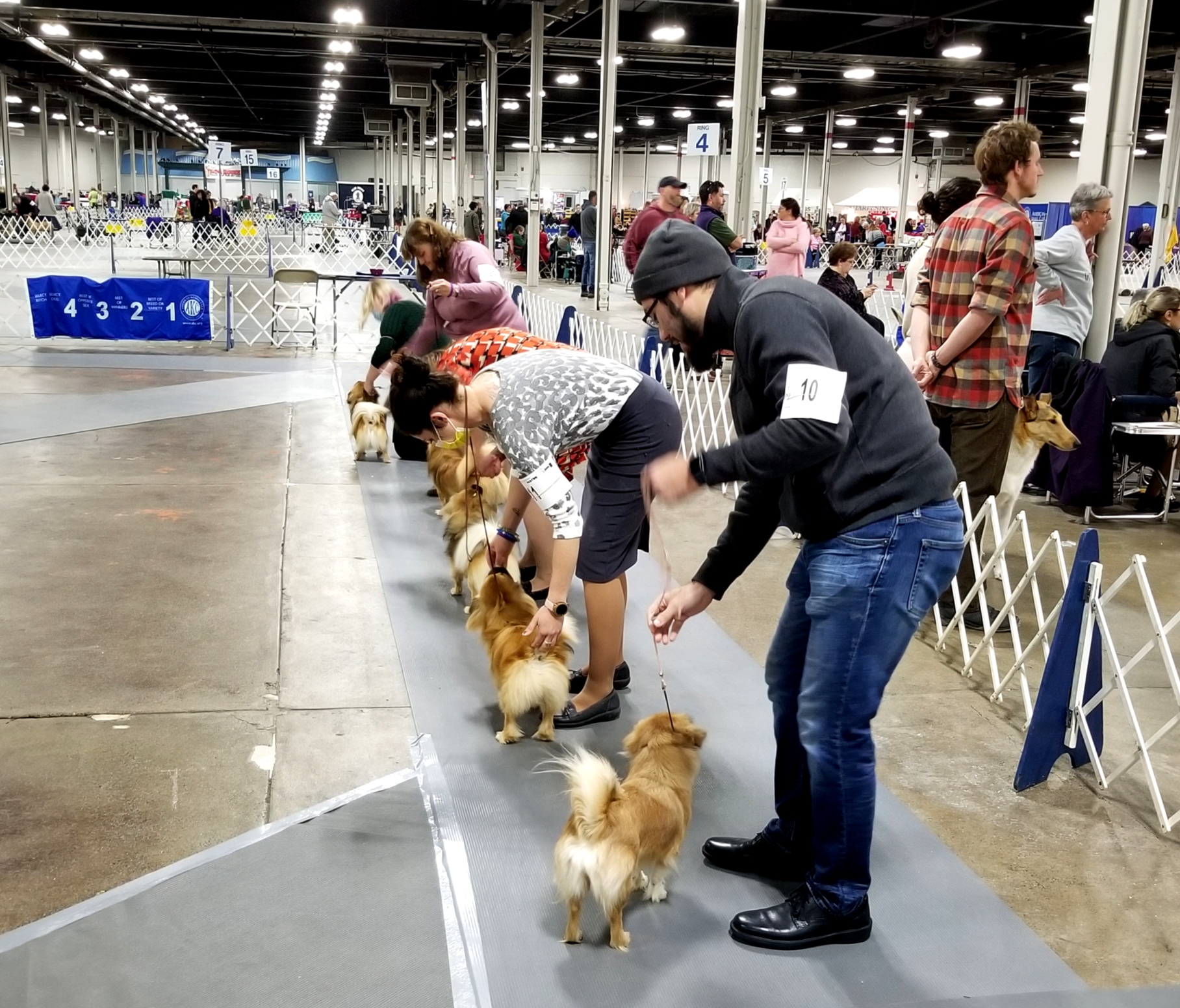 Hounds to Get Key Homestand Started This Weekend - Eastern New