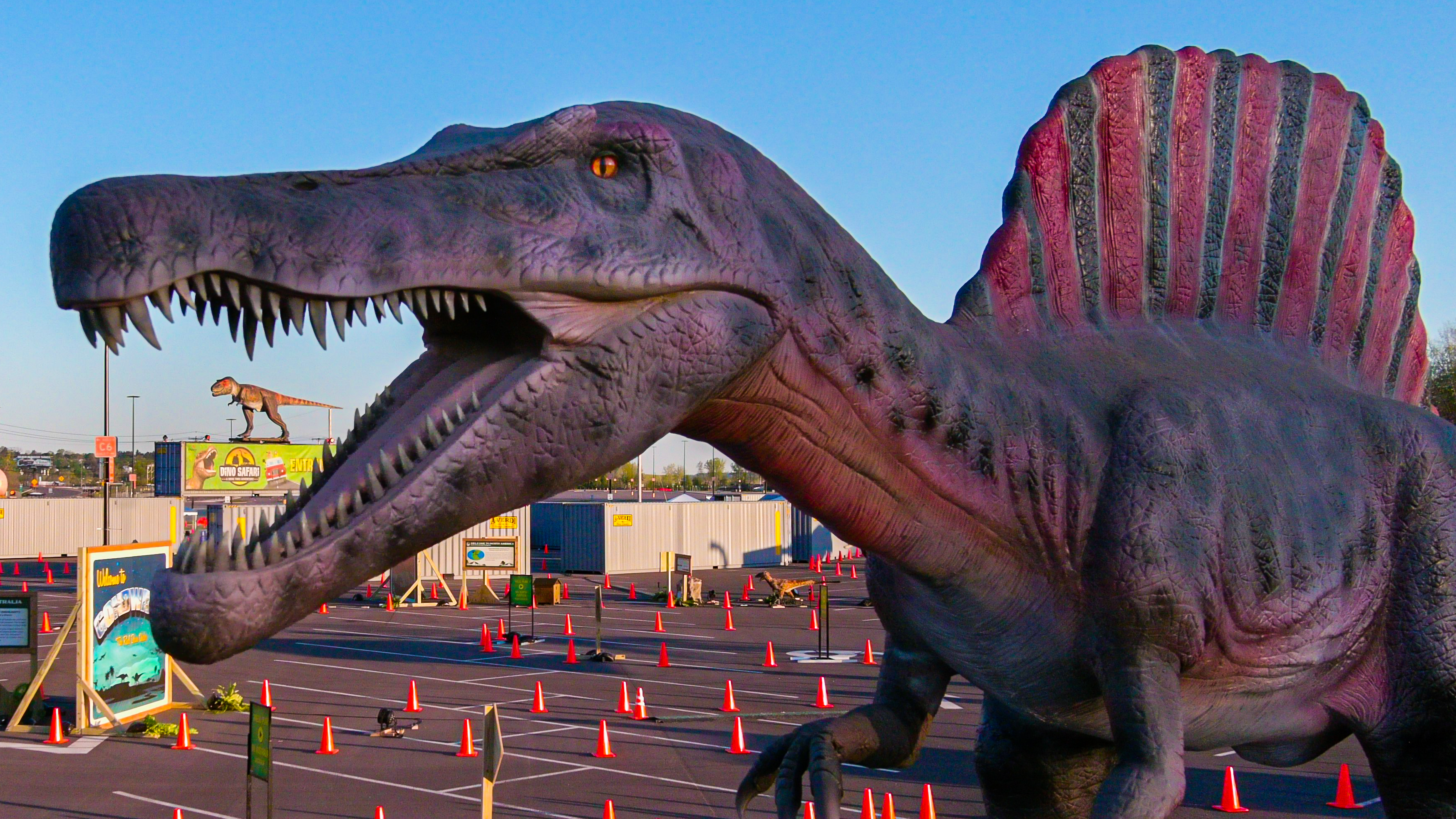 Dino Safari Drive Thru Adventure Extended At Nys Fairgrounds Due To Popular Demand Syracuse Com