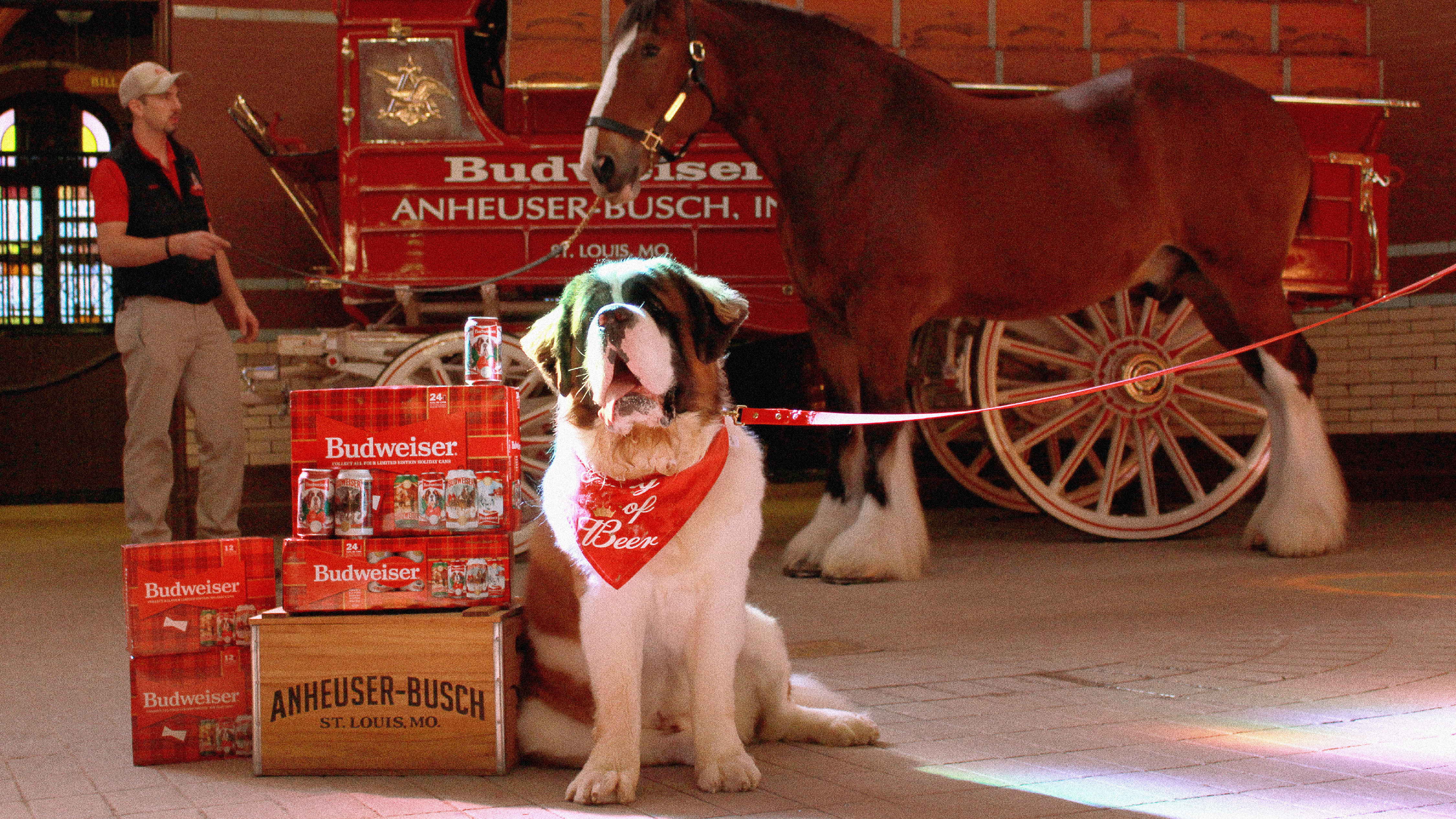 Budweiser Unveils Its 2021 Holiday Cans And The Search For Its Next Pupweiser Pennlive Com Budweiser Unveils Its 2021 Holiday Cans And The Search For Its Next Pupweiser Pennlive Com