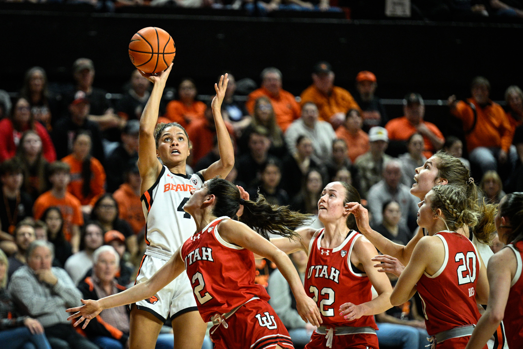 Oregon state women's deals basketball