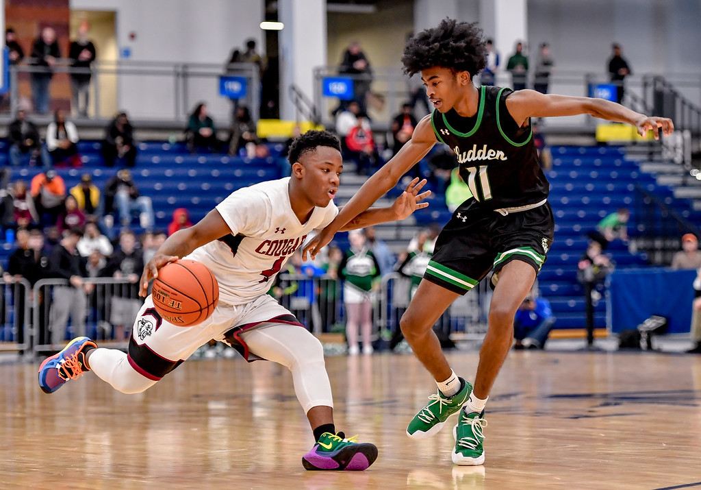 Sports will. Buns and Basketball. Will Sports. Onondaga County Active warrants. Onondaga County Dot.