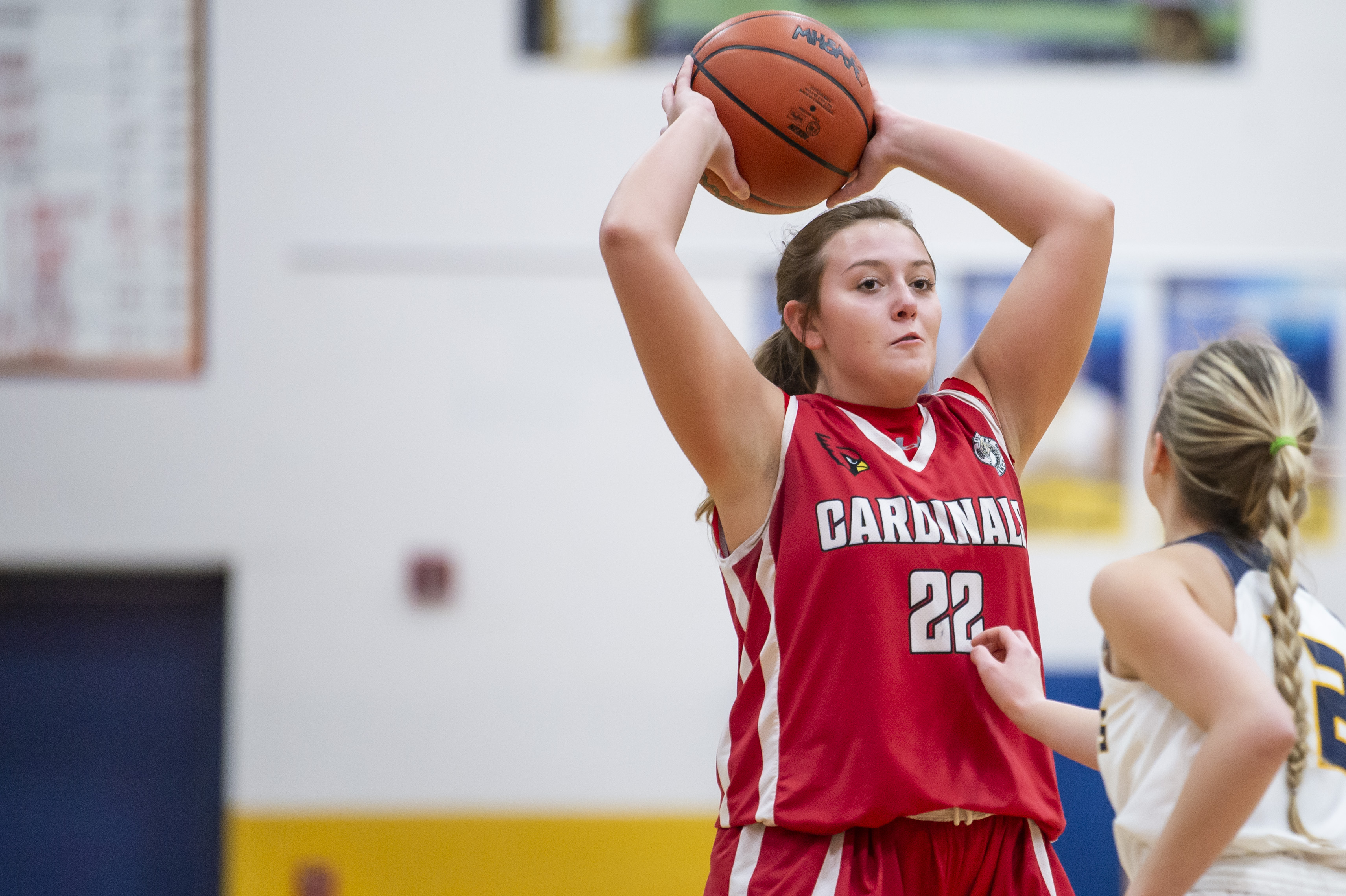 Standish-Sterling girls basketball takes down Millington - mlive.com