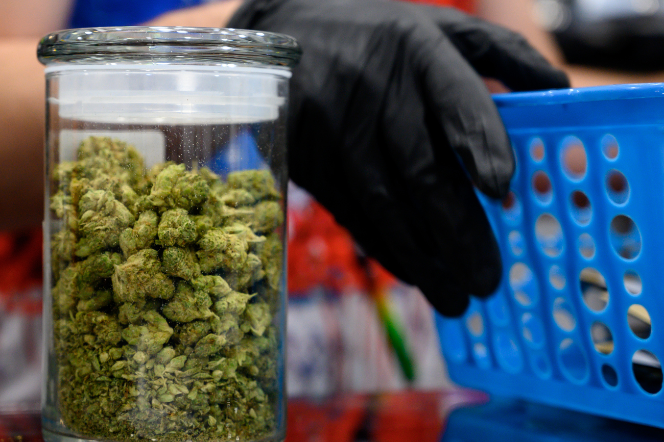 Oz Cannabis opens for recreational marijuana sales in Ypsilanti