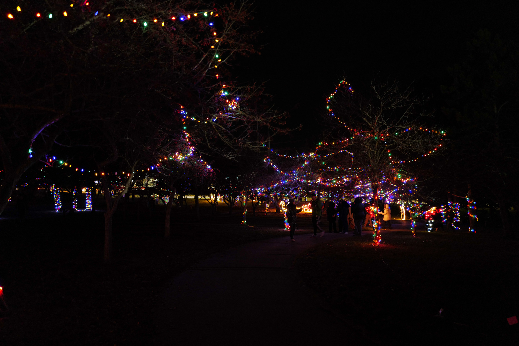 Portage tree lighting ceremony