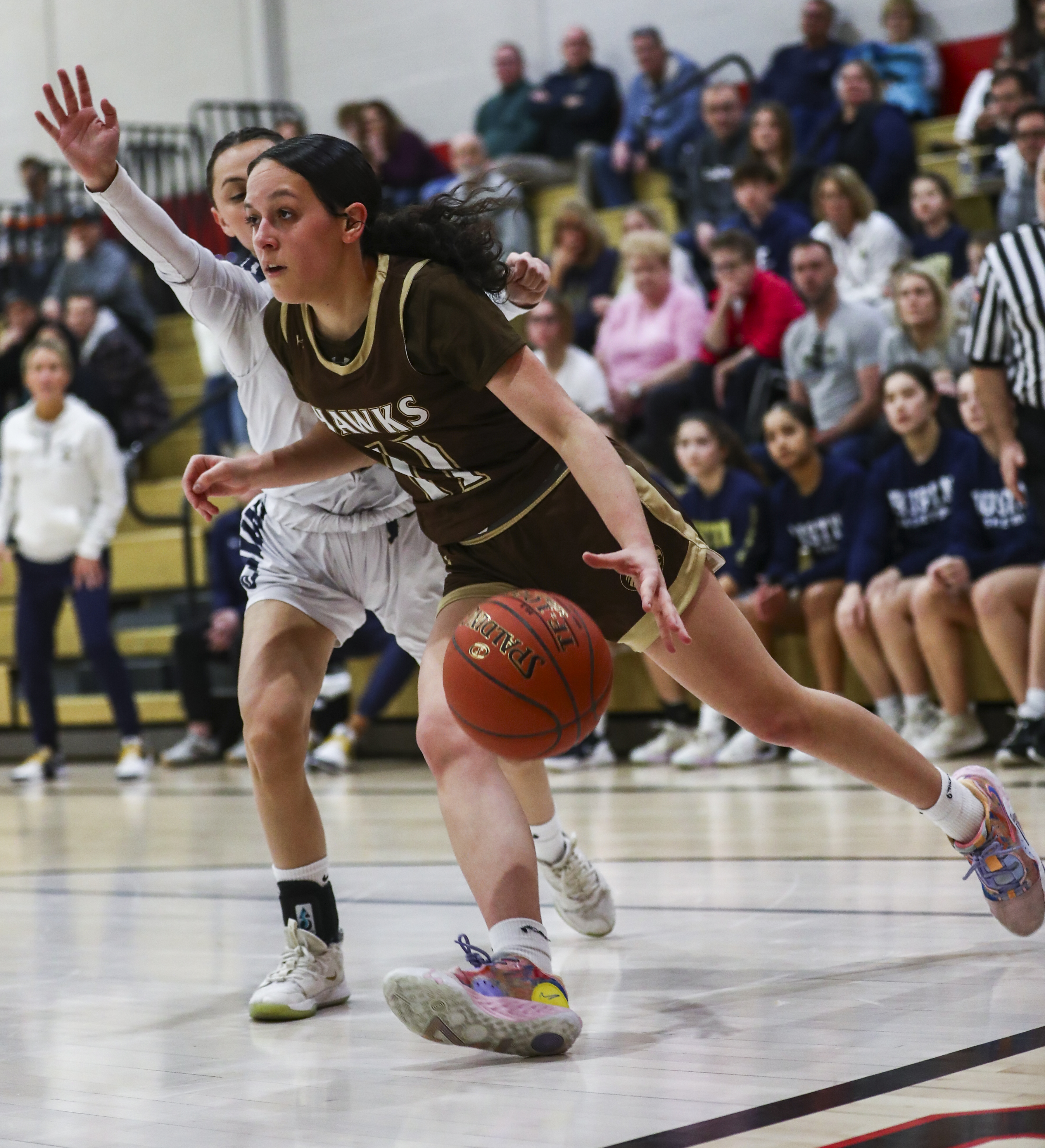 PIAA Class 5A girls basketball quarterfinals: West Chester Rustin vs ...