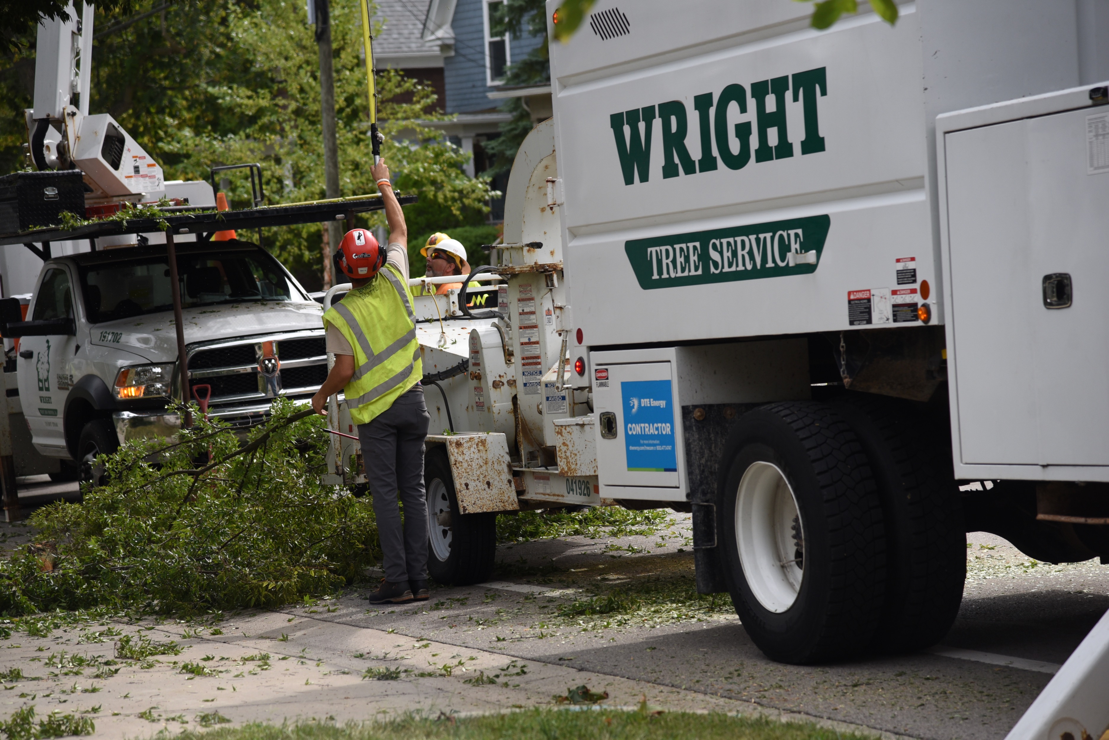 Ann Arbor residents and officials concerned about extensive tree