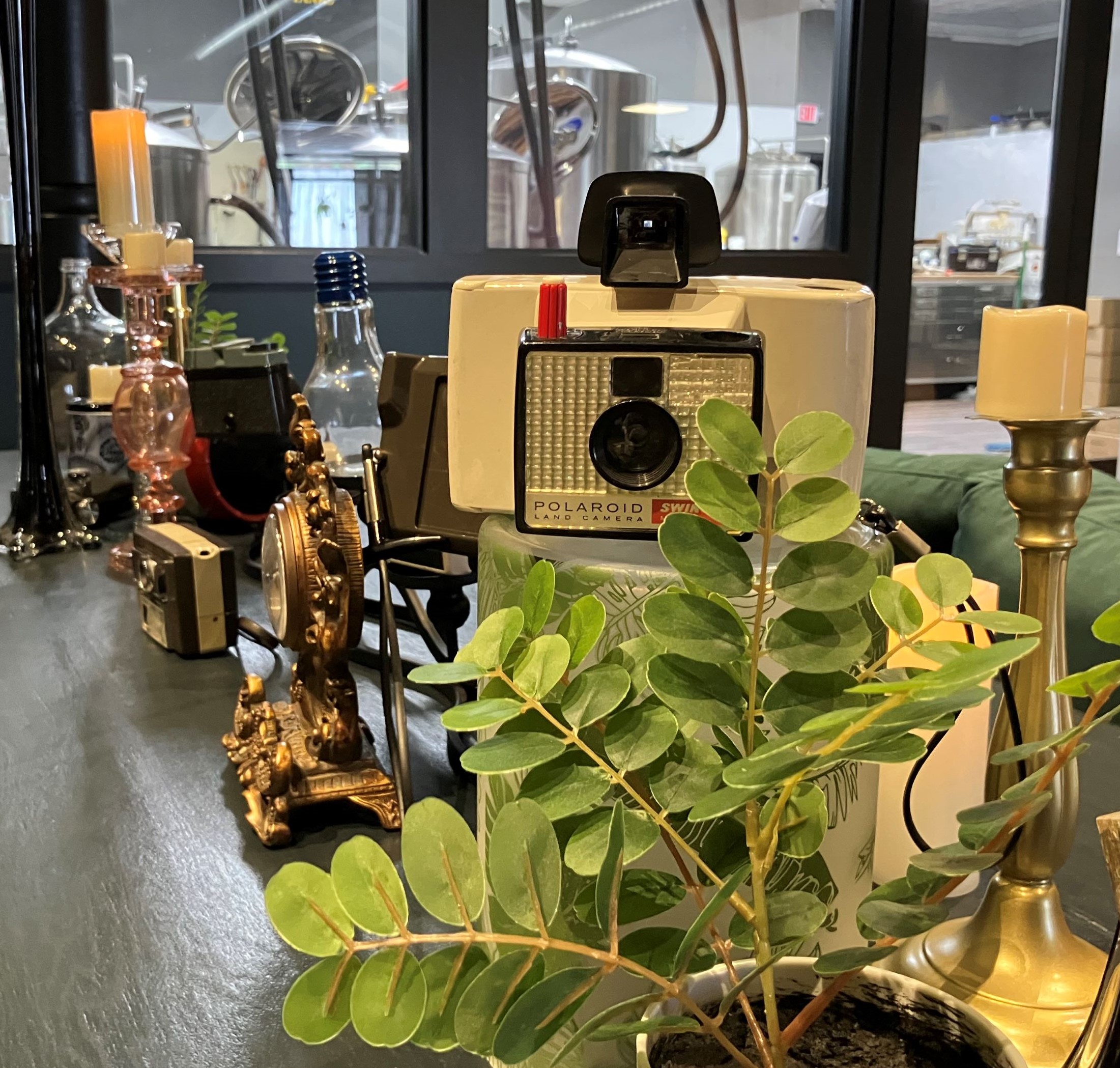 Darkroom Brewing Co.