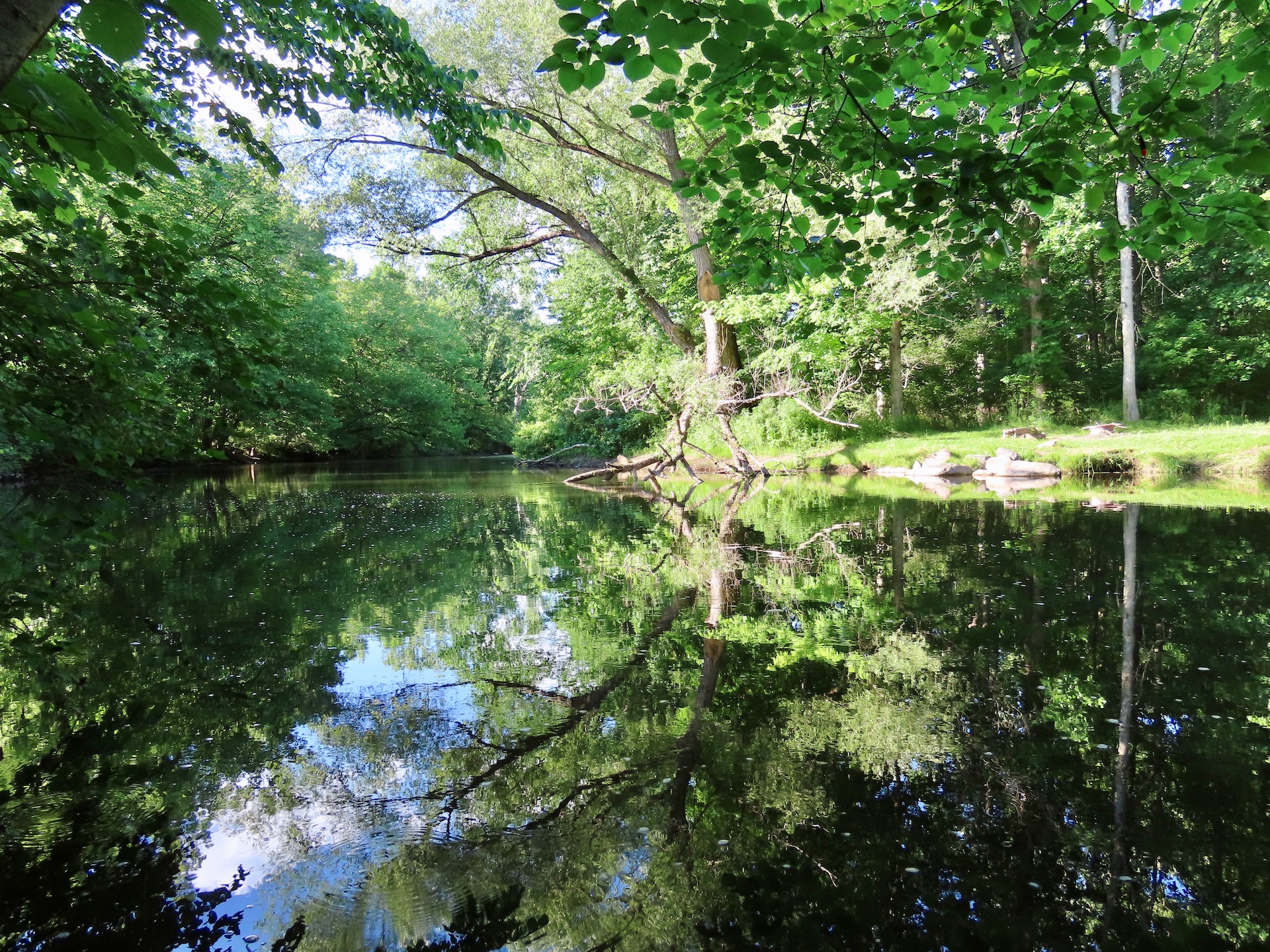 Rogue River PFAS contamination